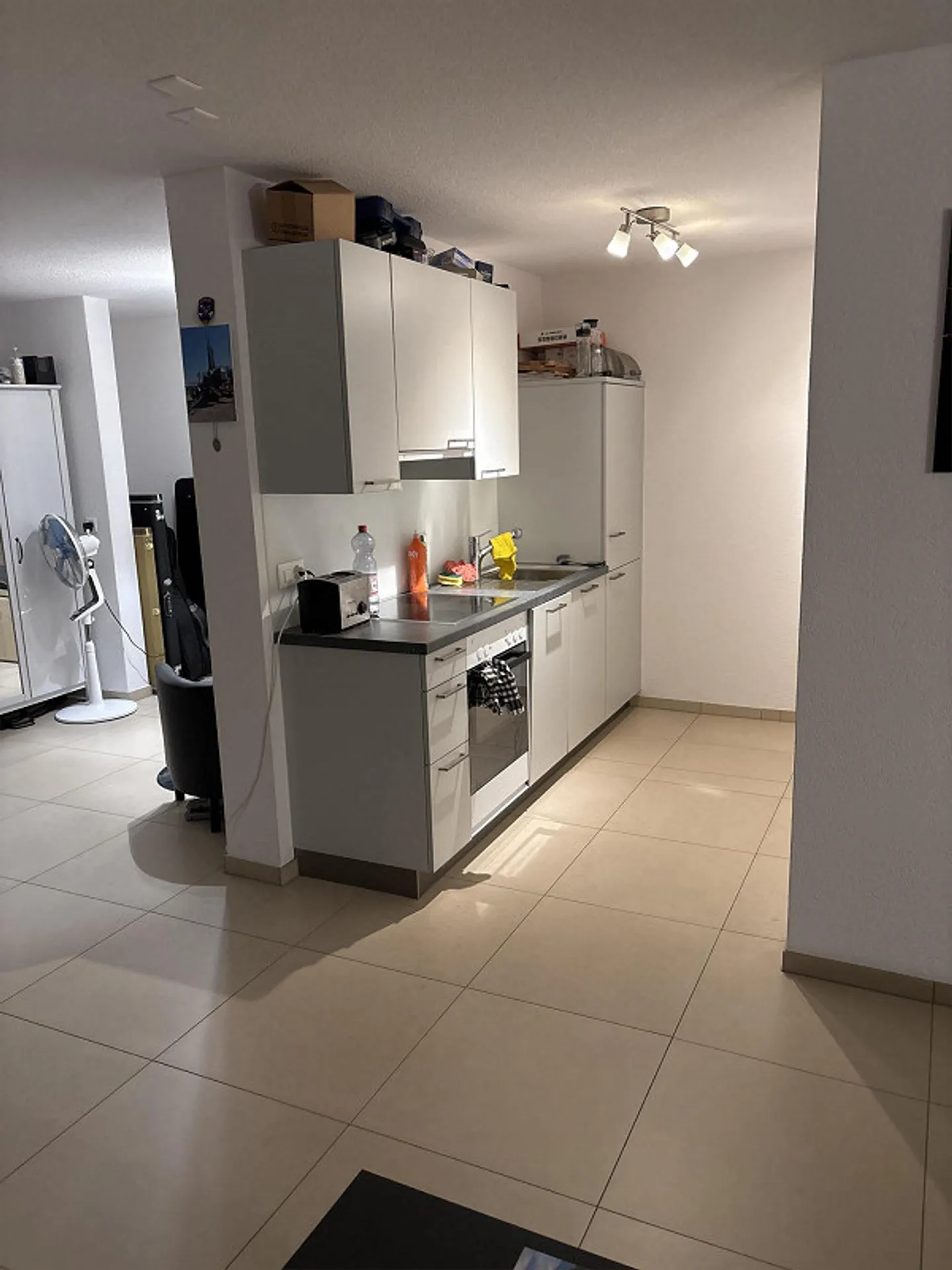 Appartement 1 pièce confortable à Treiten - Photo 3 sur 6