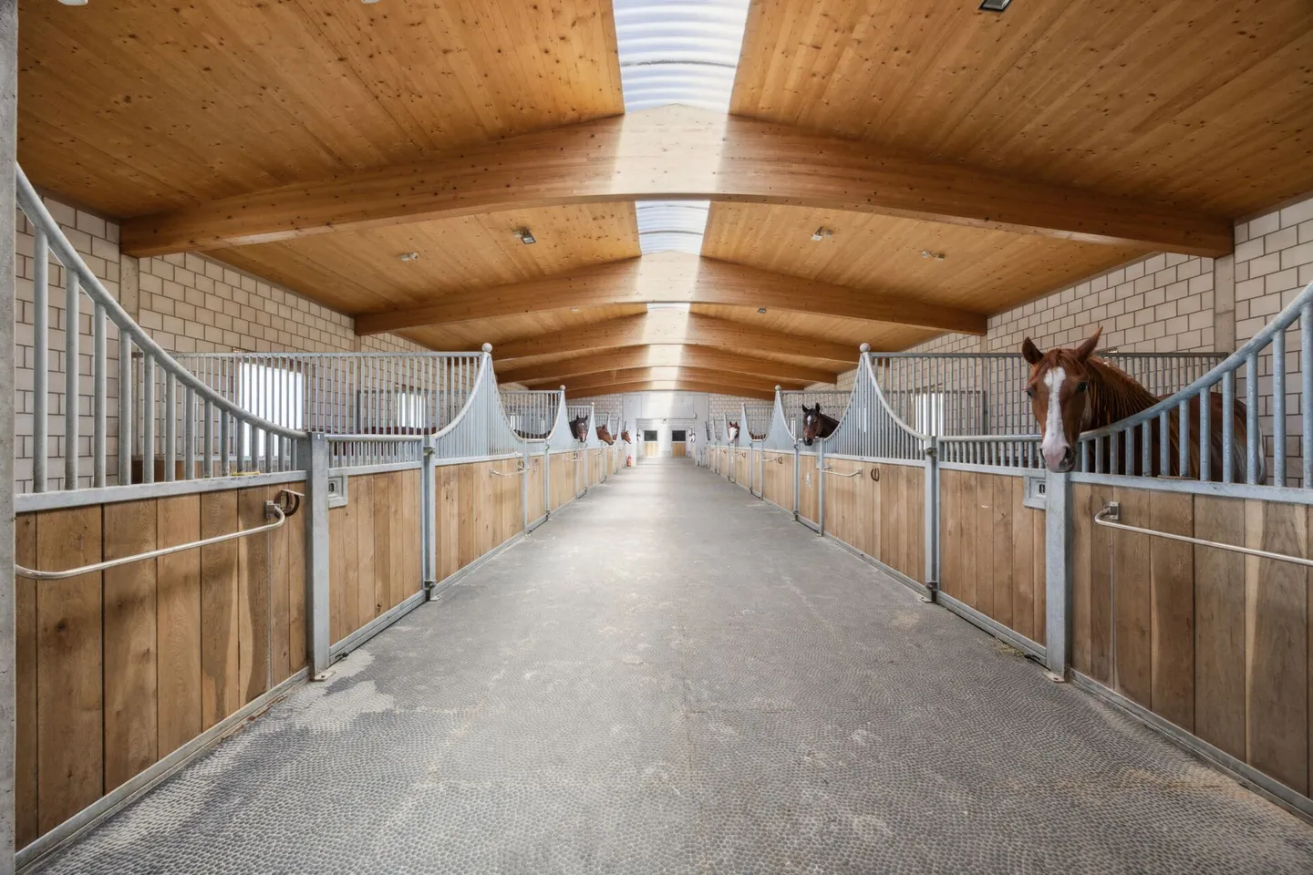 PROPRIETÀ EQUESTRE DI ALTA QUALITÀ IN UNA POSIZIONE UNICA CON VISTA DA SOGNO - Foto 4 di 11