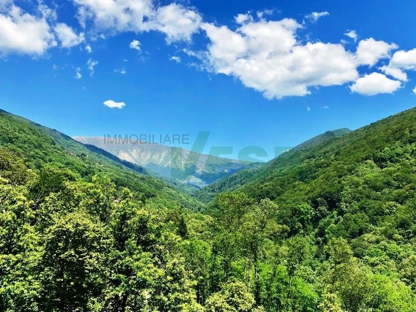 Elegante Villa d'Autore - Foto 4 di 11