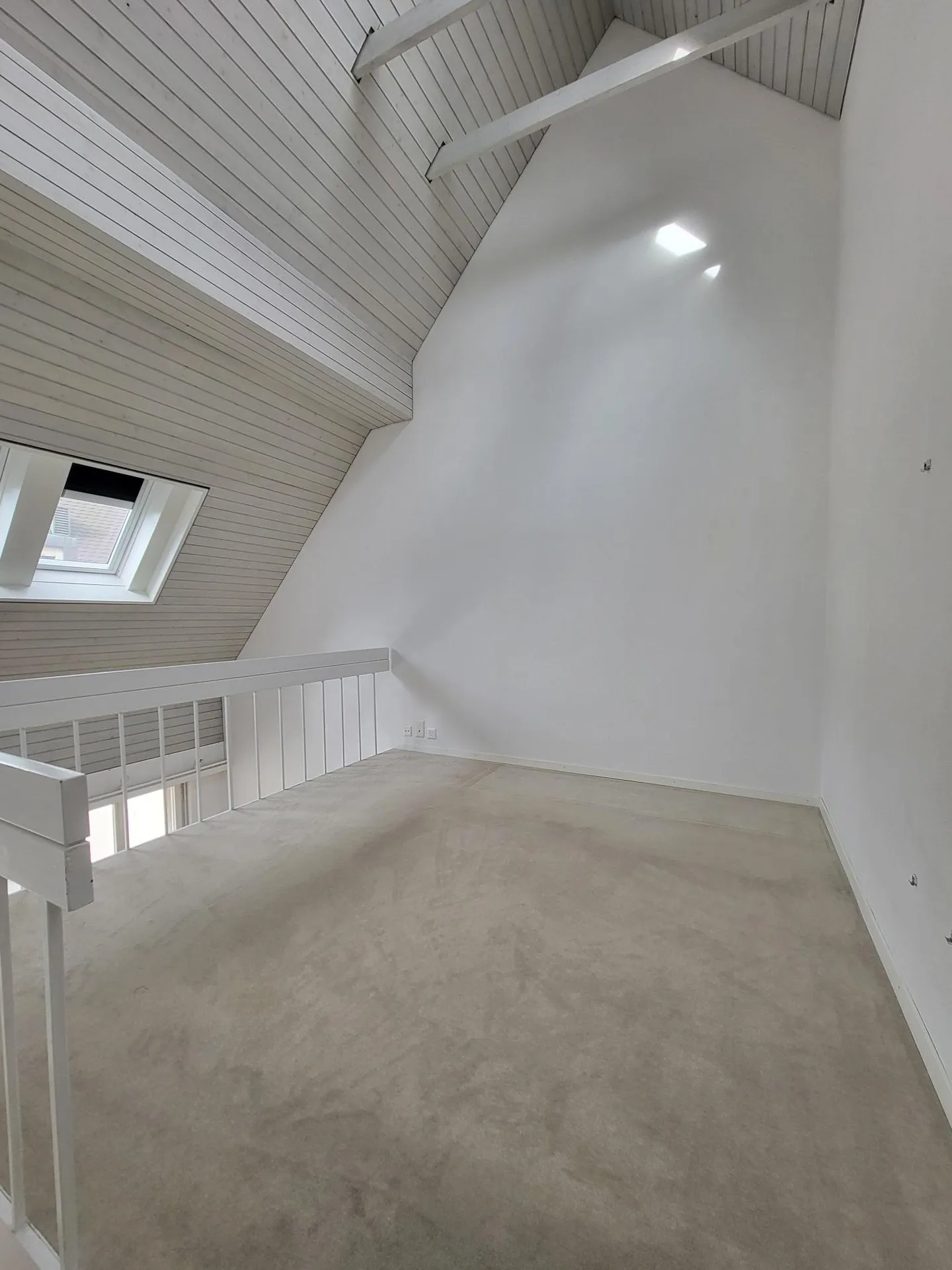 Living in the heart of Zurich - Photo 12 of 17