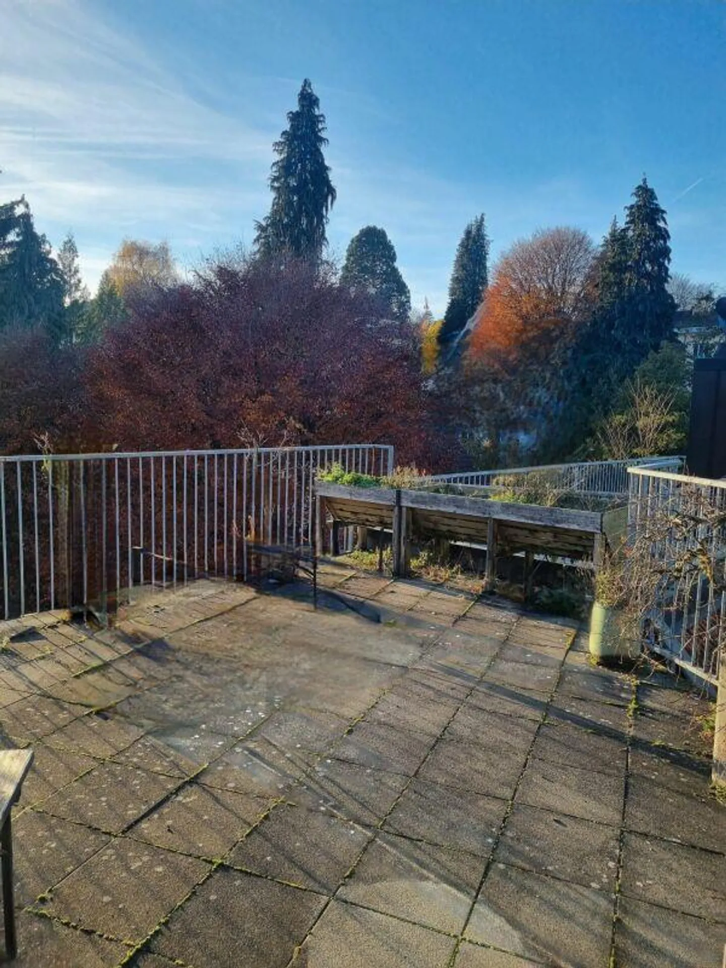 Ampio appartamento luminoso in città - Foto 9 di 10