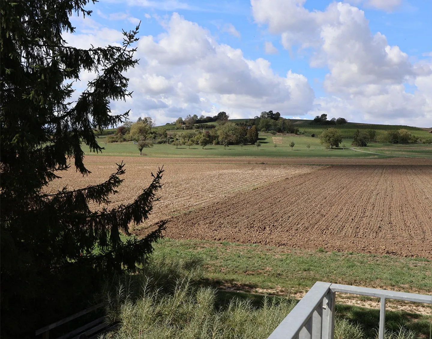 Attractive 2.5-room apartment with a view of the vineyards - Photo 15 of 16