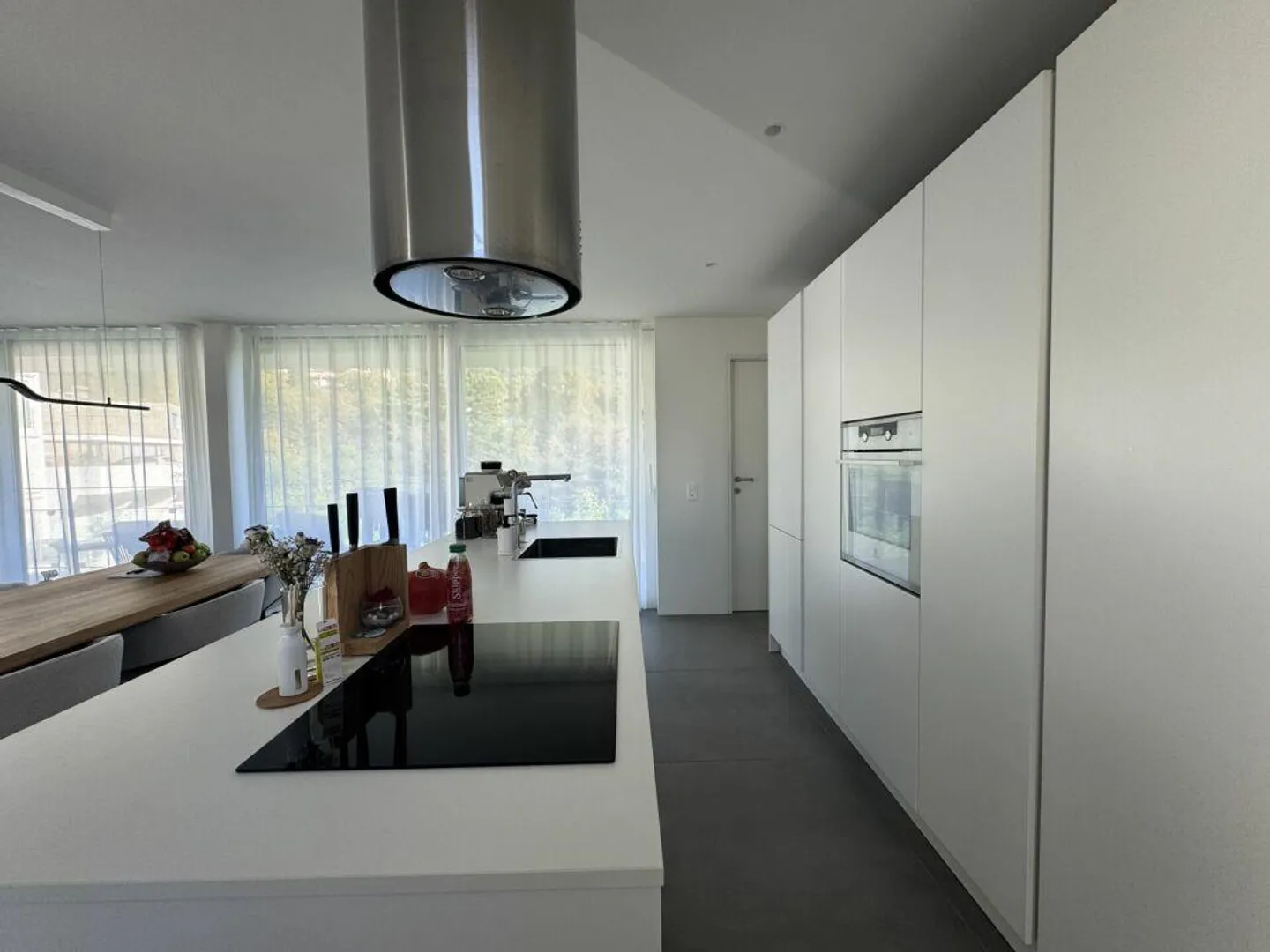 Apartment with terrace and stunning view of Lugano and the mountains - Photo 3 of 7