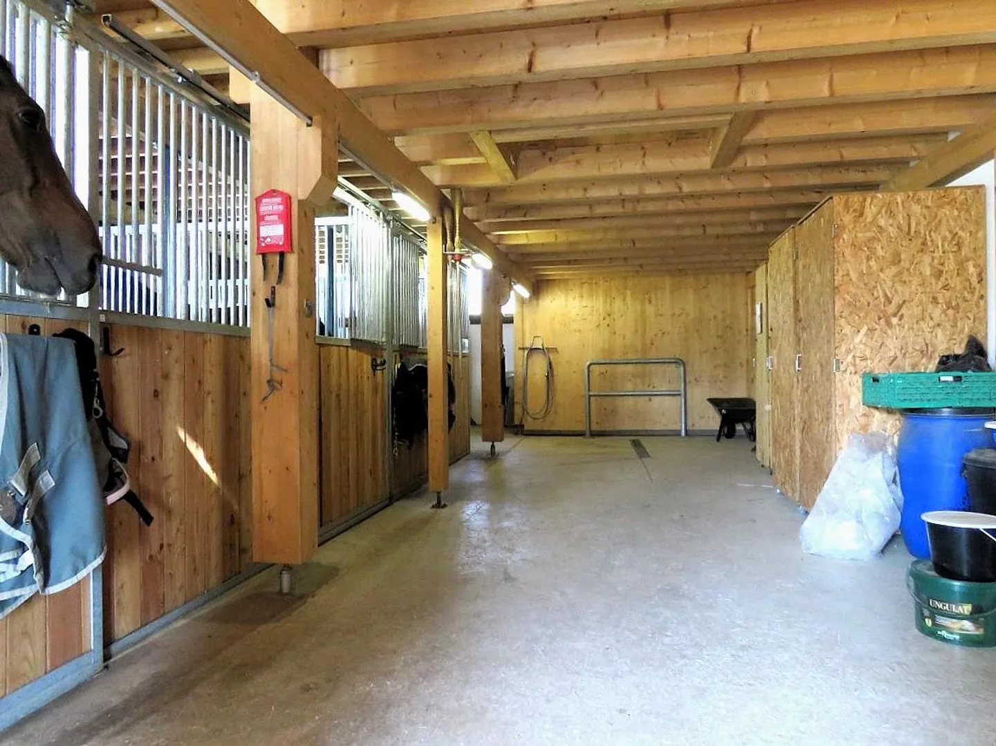 Renovated Farm with Exceptional View of the Pre-Alps! - Photo 13 of 17