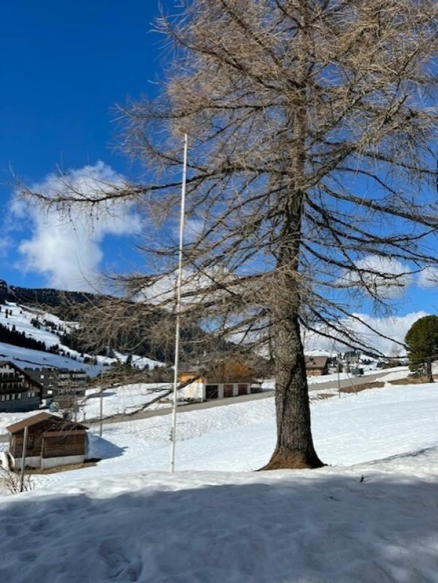 Schönes Chalet mit zwei Wohnungen im Miteigentum - Foto 11 von 14