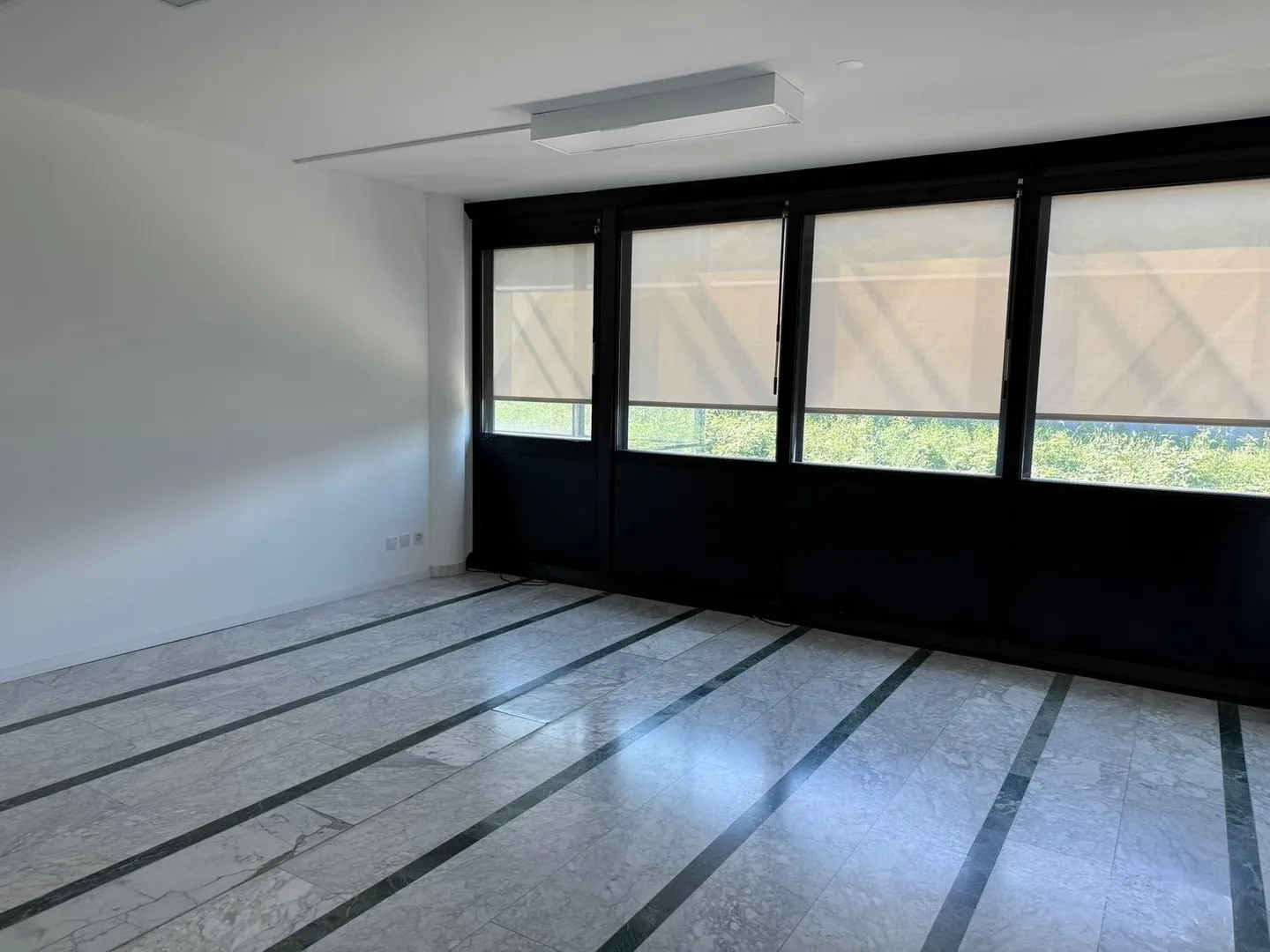 Spacious office of 9 rooms in Camorino - Photo 5 of 12