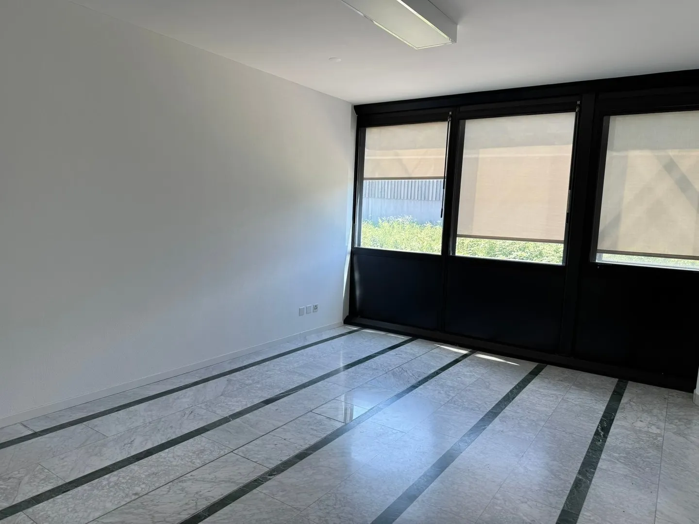 Spacious office of 9 rooms in Camorino - Photo 6 of 12