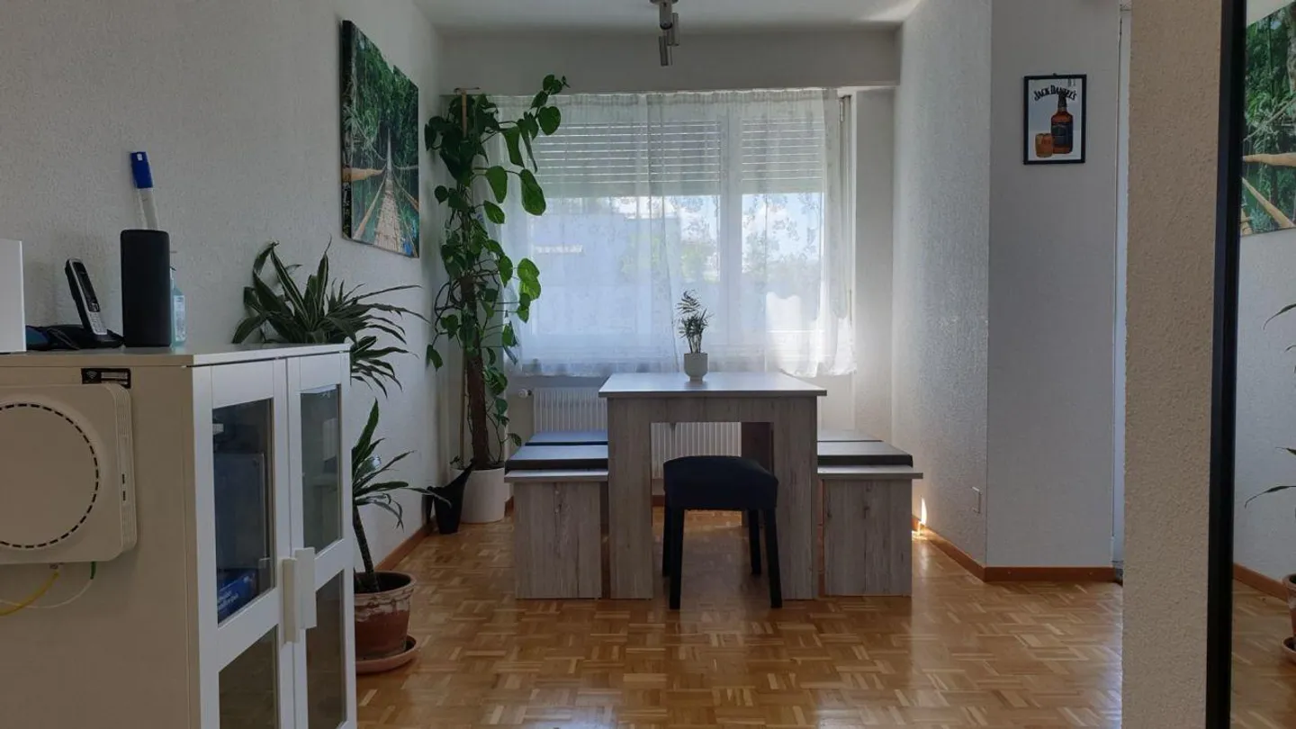 Belle appartement spacieux de 3,5 pièces avec une grande terrasse - Photo 6 sur 13