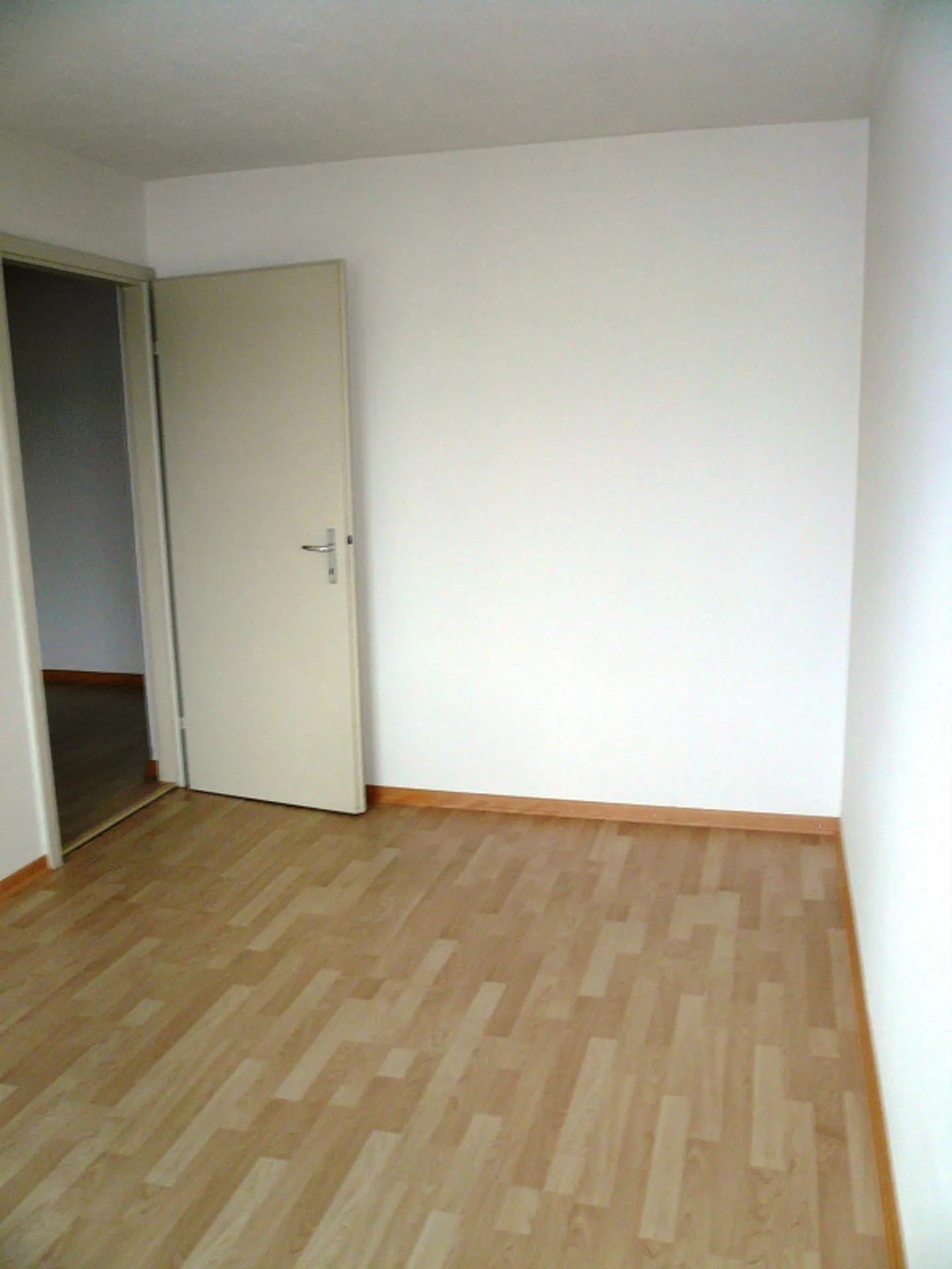 Cozy 4-Room Apartment with Lake View for Rent - Photo 9 of 20