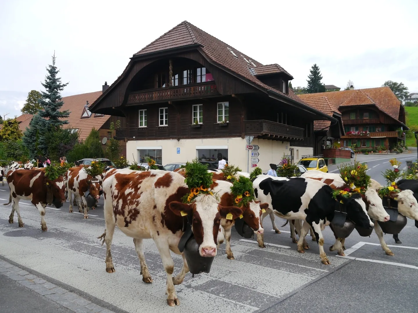 Charmante 5-Zimmer-Wohnung in Riggisberg, Kanton BE - Foto 8 von 9