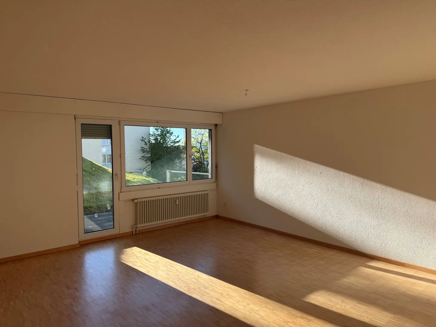 3.5 Room Apartment with Patio - Photo 7 of 14