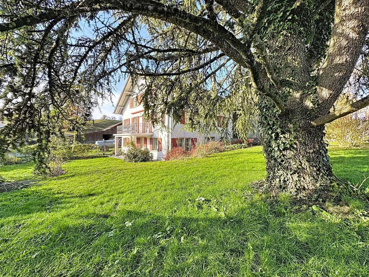 Country House - Photo 1 of 11