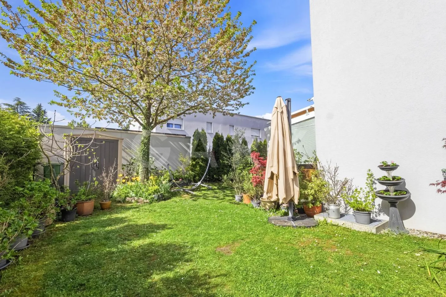 Incantevole casa unifamiliare THPE nel cuore di Meyrin-Village - Foto 3 di 12