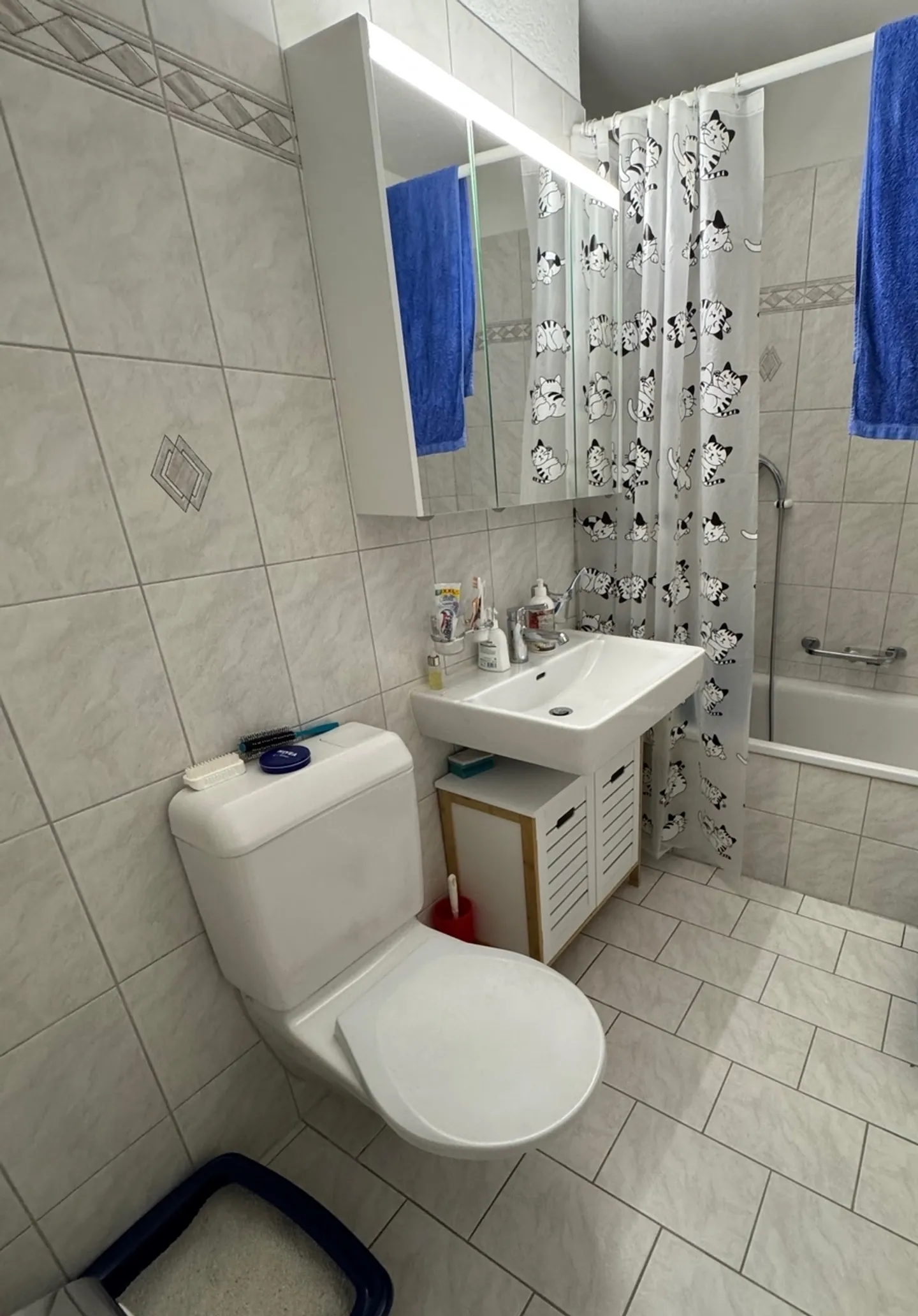 Traumhafte 4.5-Zimmer-Wohnung in Villmergen, Kanton AG - Foto 7 von 10
