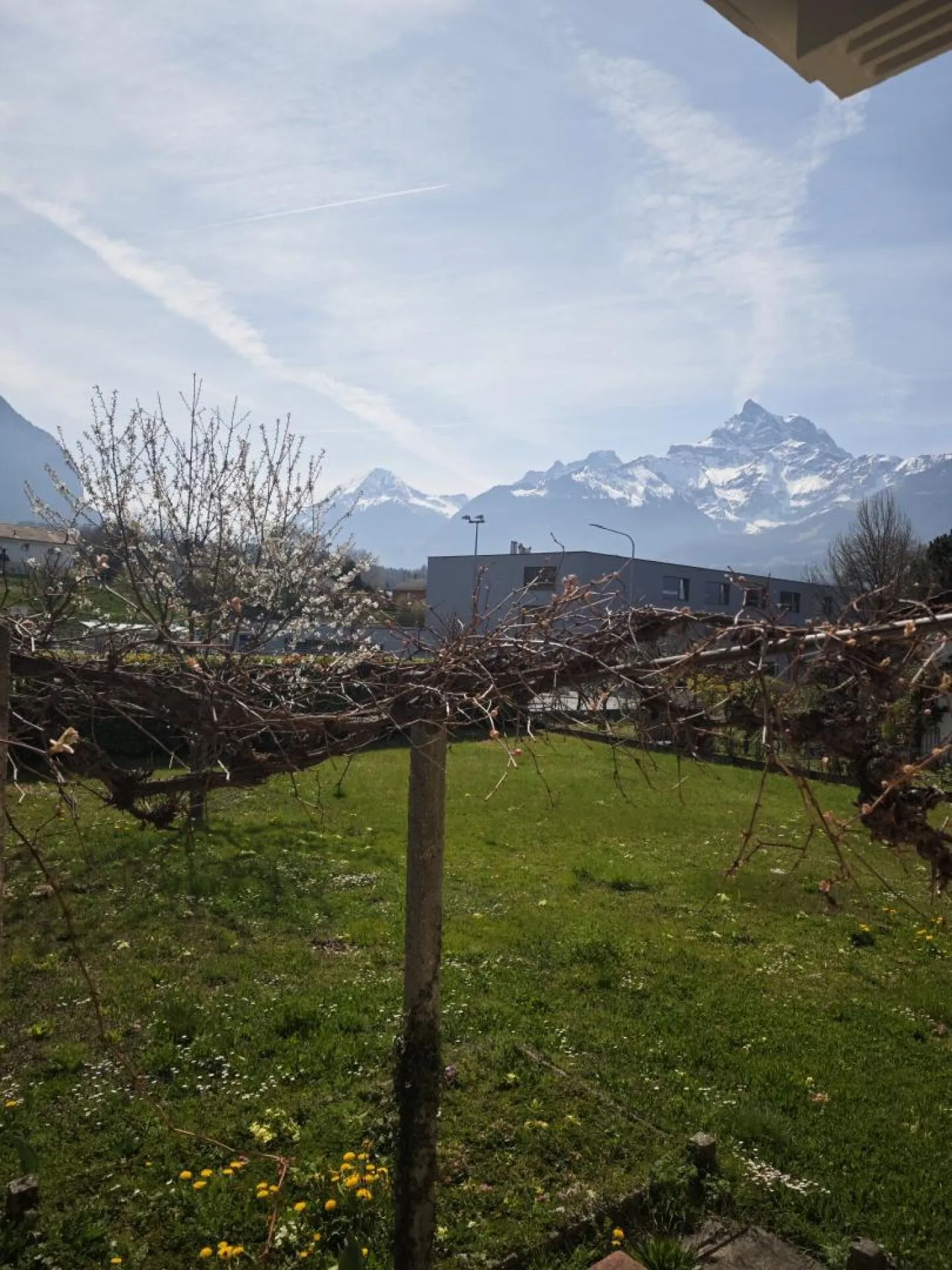 Appartamento 3 locali a Bex - Foto 8 di 9