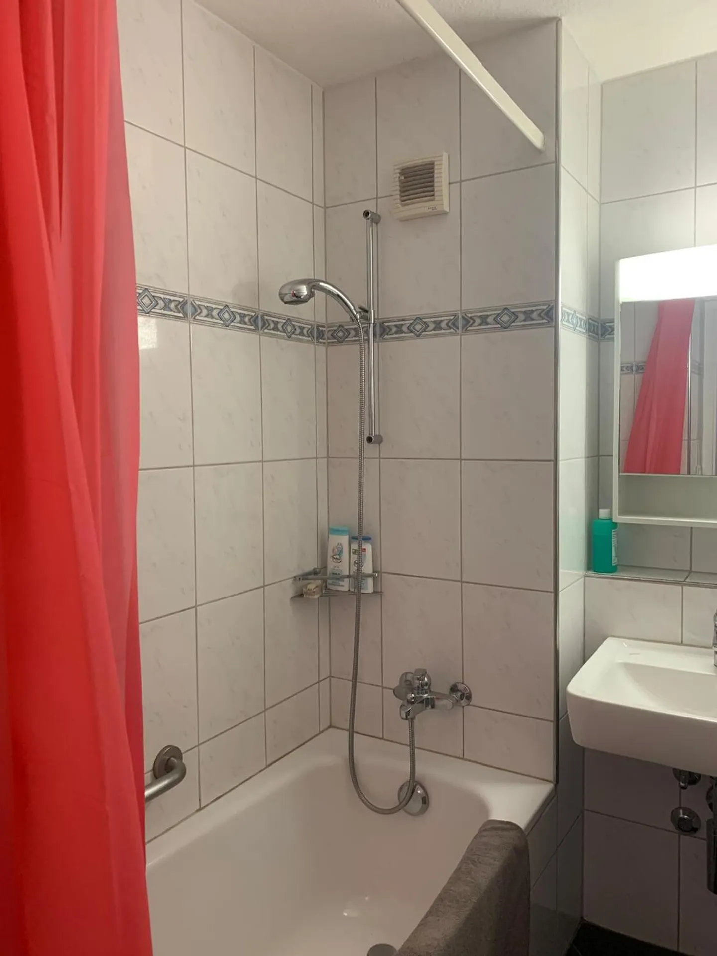 4 ROOM APARTMENT IN ZURICH, FURNISHED, TEMPORARY - Photo 9 of 10