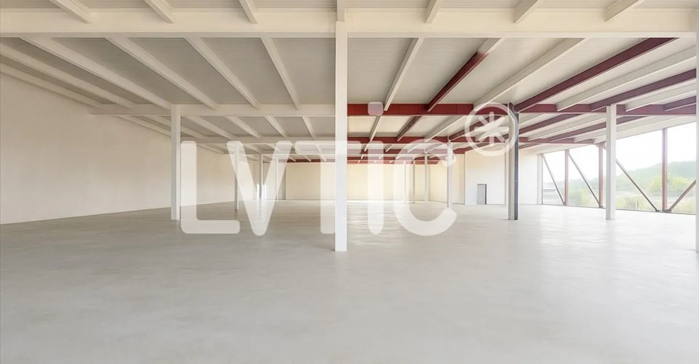 Attractive office space for rent - Photo 8 of 16