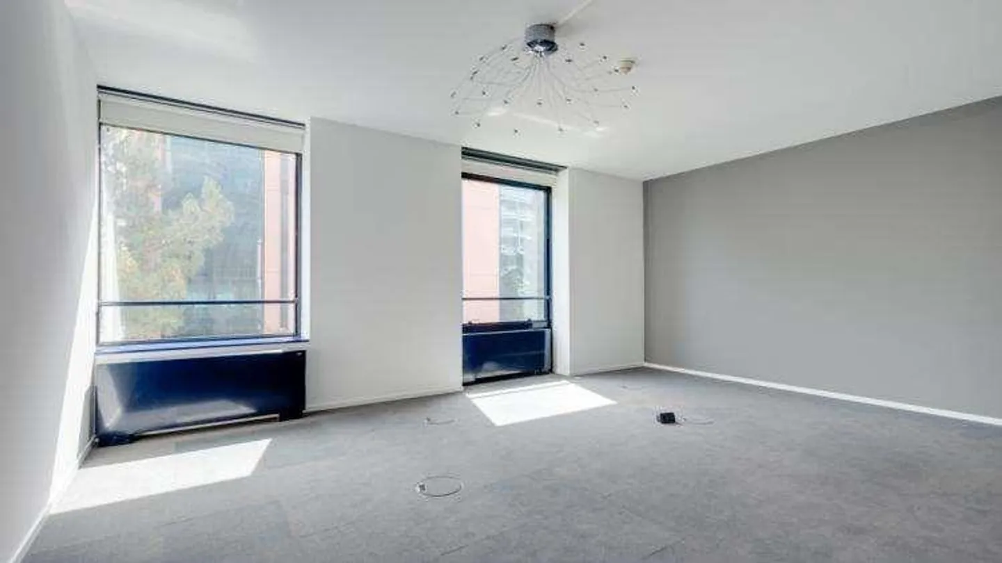 Zentralbüro Lugano 190 m², Gartenblick - Foto 3 von 9