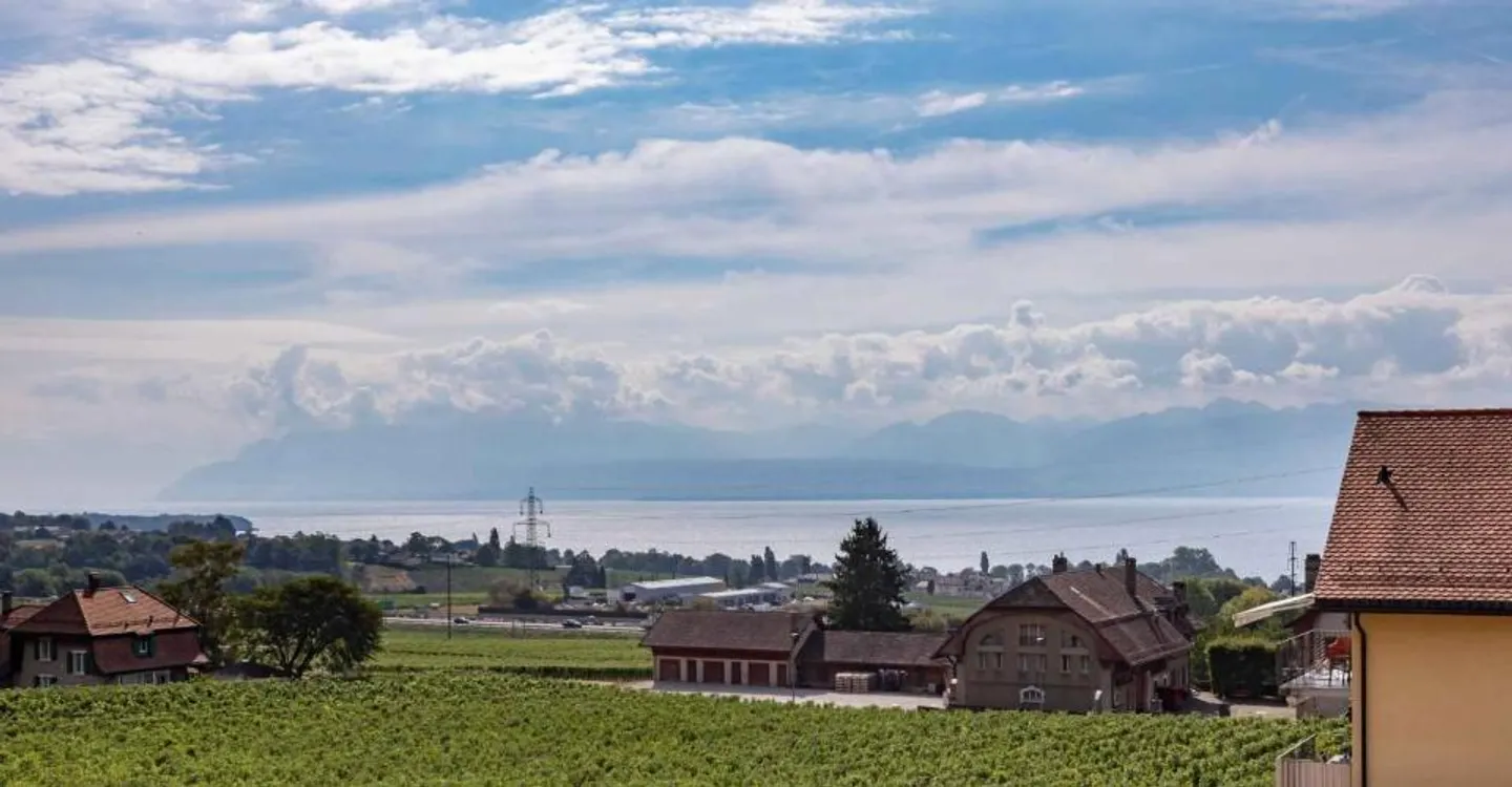 Un panorama d'exception sur le Léman - Foto 2 von 6