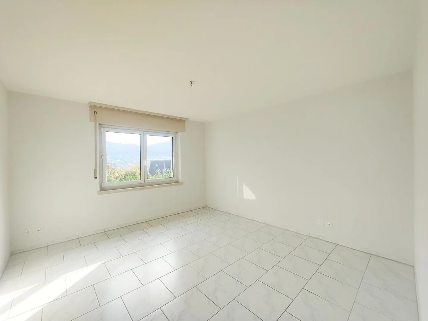 Gemütliche Wohnung mit toller Aussicht in Neuhausen - Foto 3 von 11