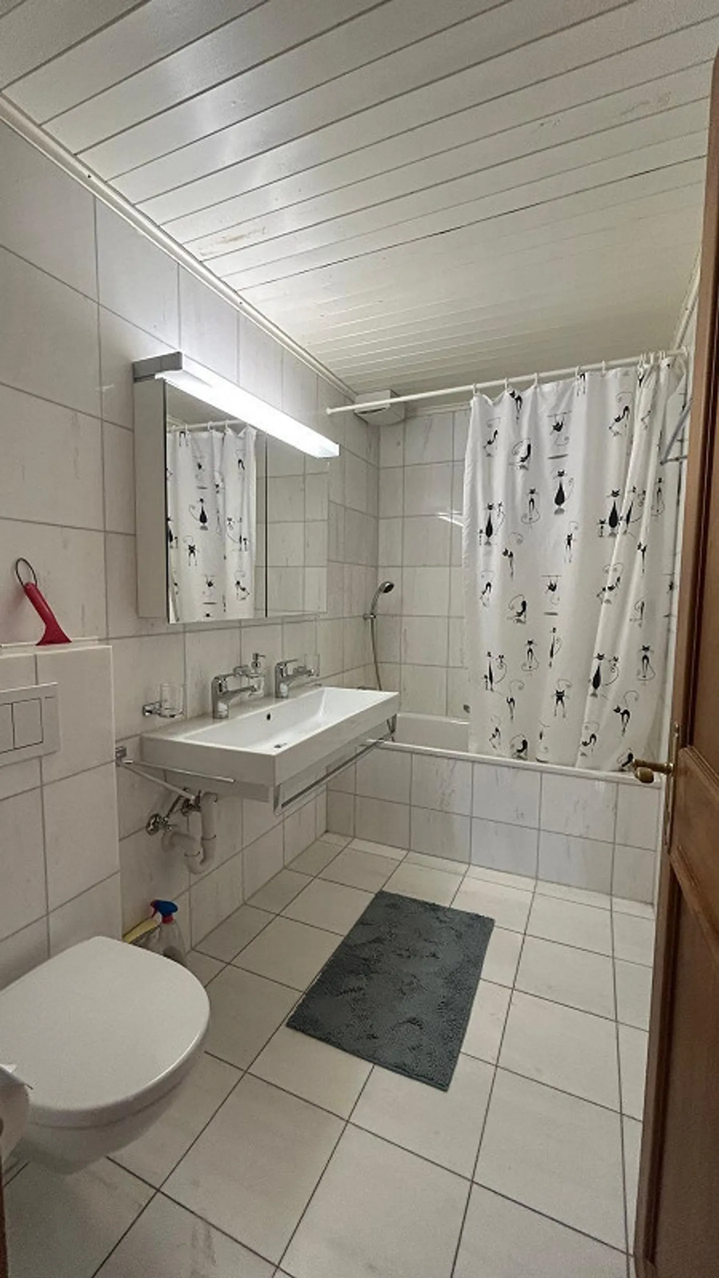 Appartement 5.5 pièces dans le style Art Nouveau, au cœur de Chur - Photo 3 sur 8