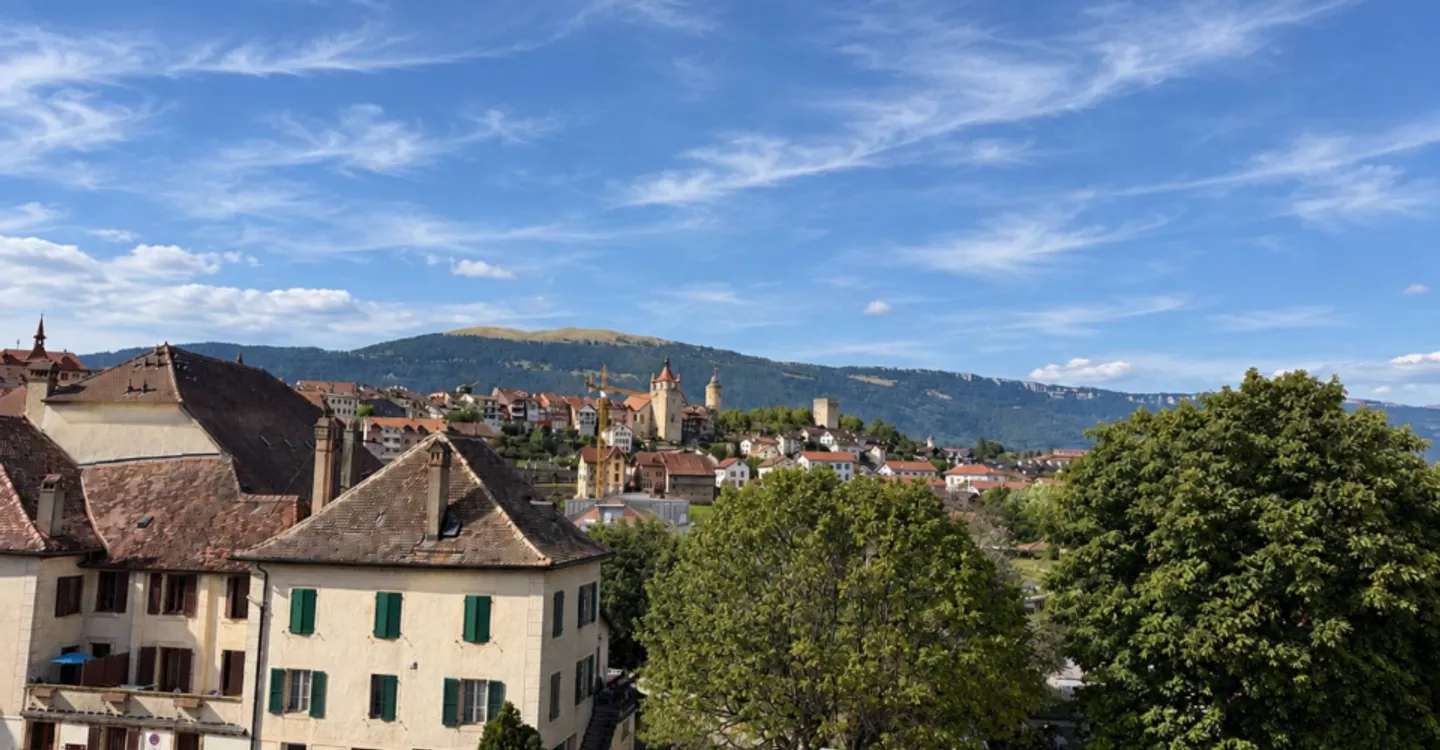 Splendide appartement de 3.5 pièces avec vue panoramique – Éco-quartier de Gruvatiez, Orbe - Foto 10 di 11