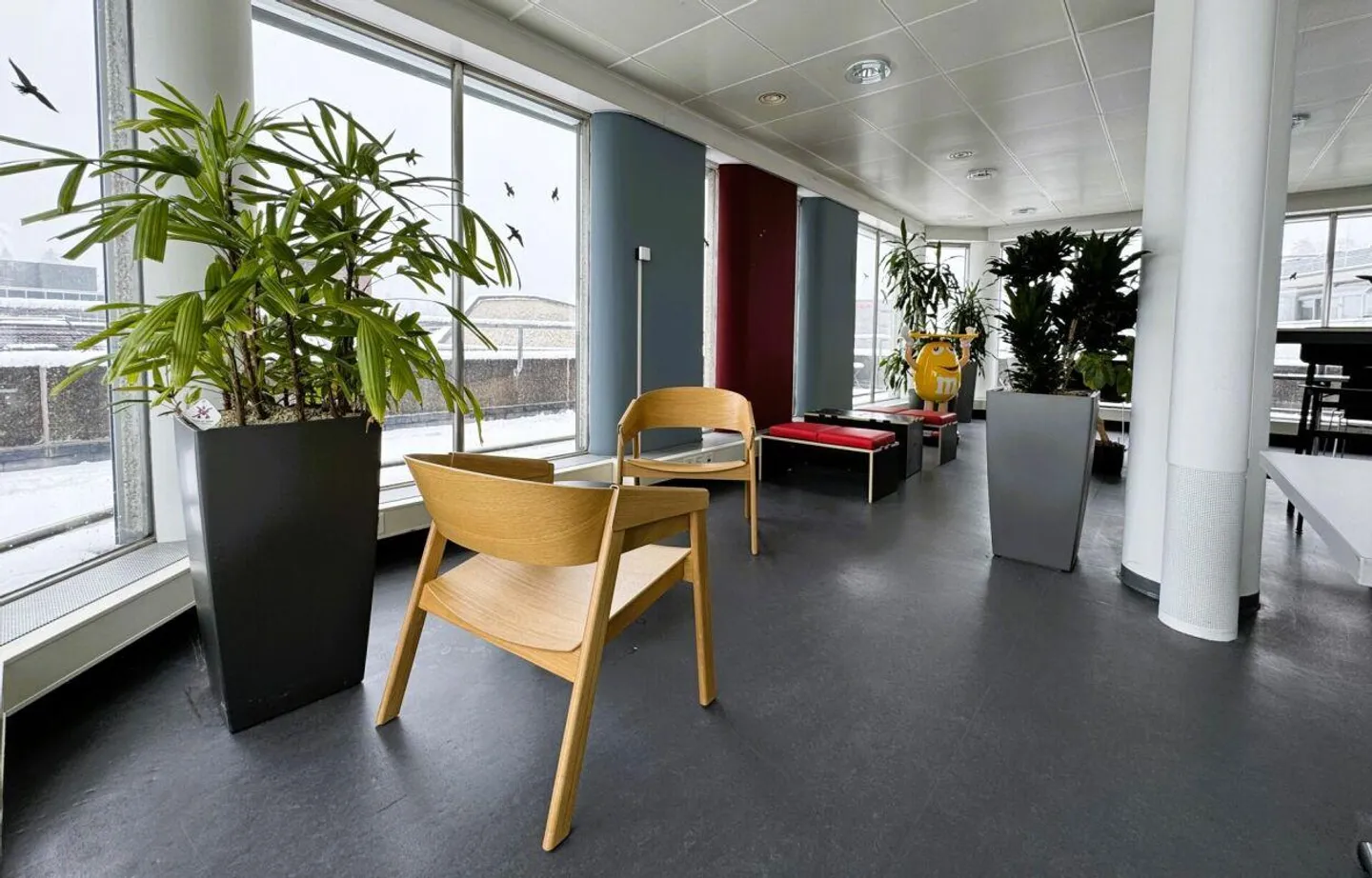 Work & View - Office with 371 m² and rooftop terrace in the heart of the city - Photo 5 of 11