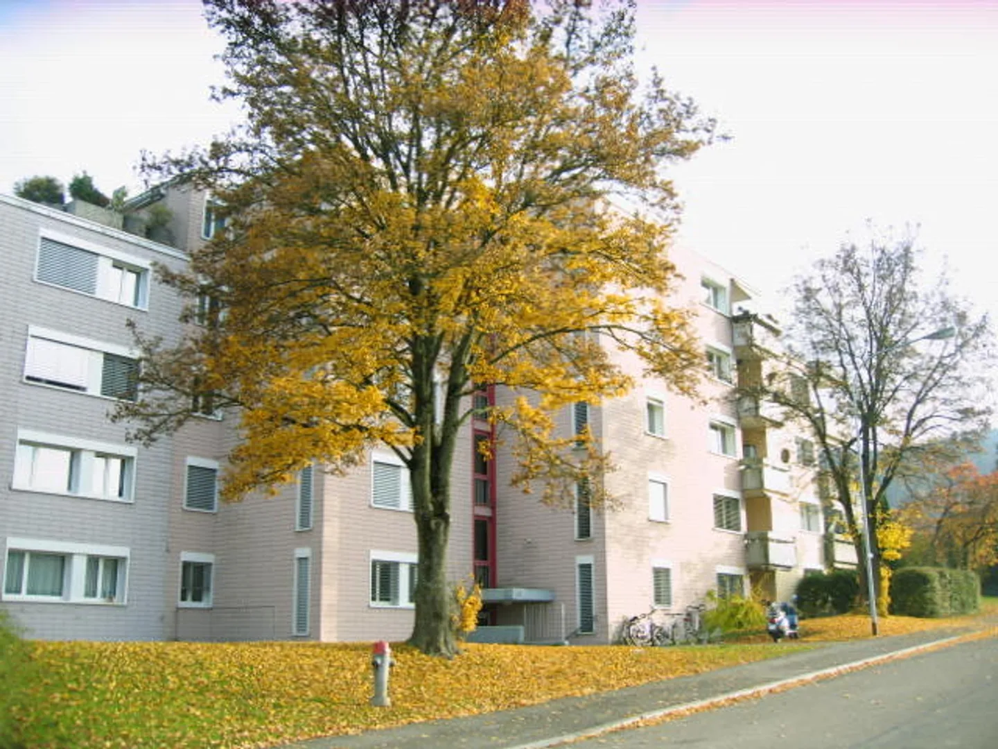 Vivre dans un environnement calme et verdoyant - Photo 1 sur 7