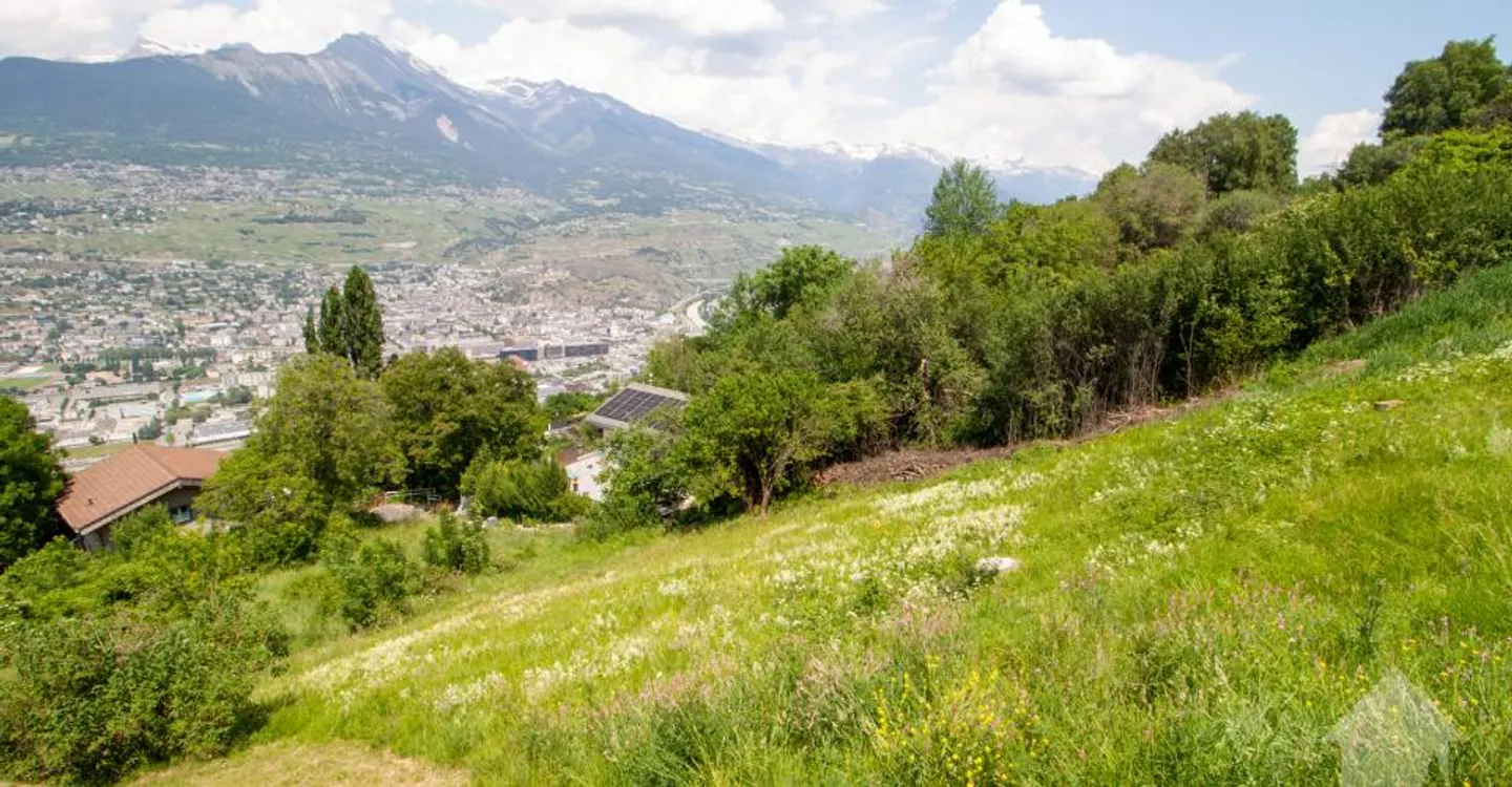 Idyllisches Baugrundstück mit Aussicht - Foto 5 von 9
