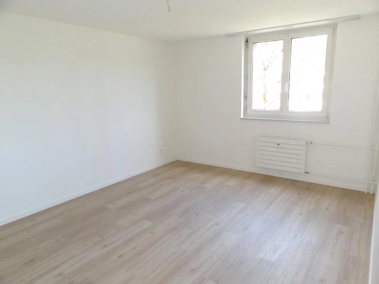 Lichtdurchflutete Wohnung – Wohnen in zentraler und grüner Umgebung - Foto 6 von 8