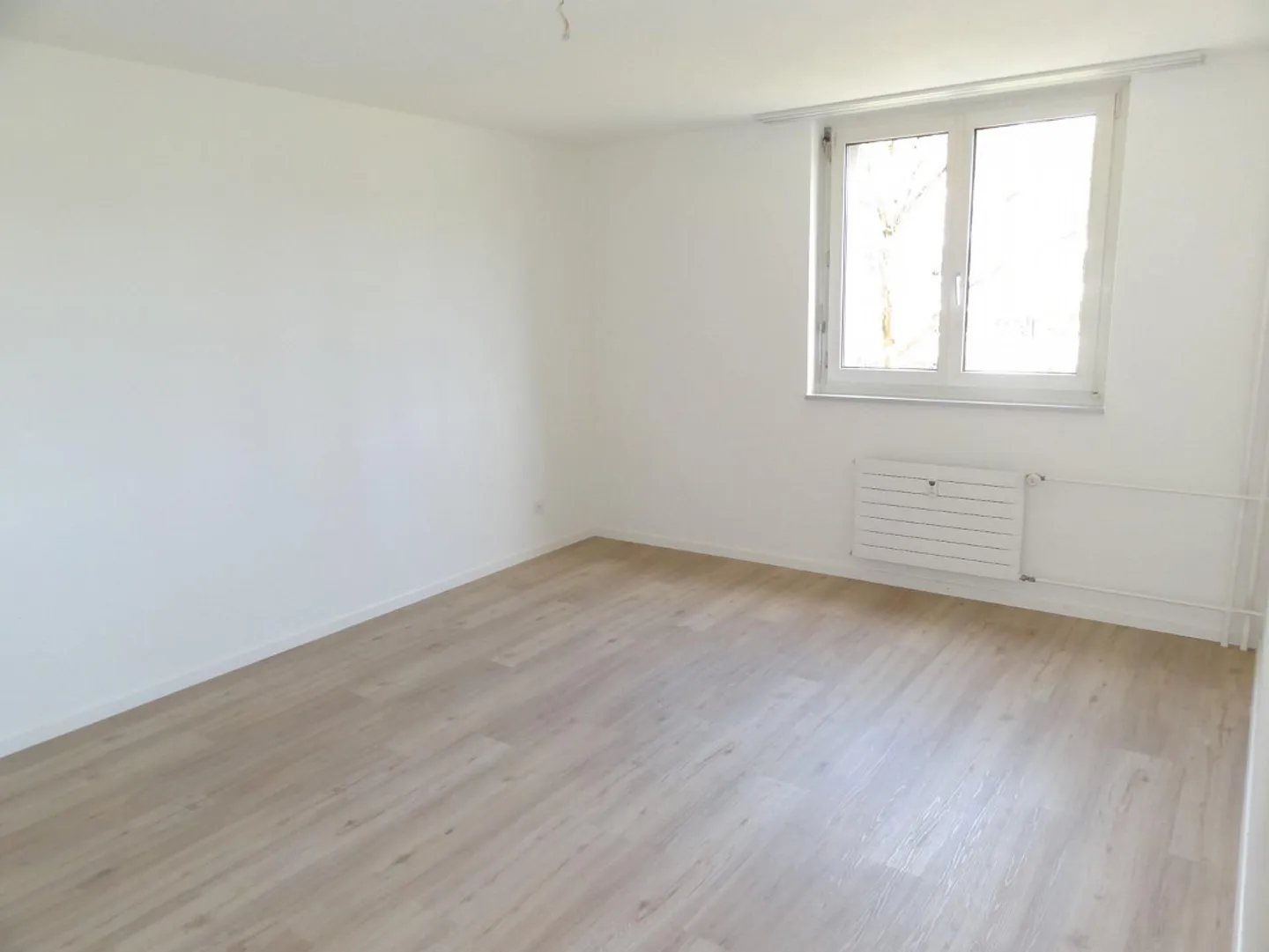 Vivere in famiglia in un ambiente verde - Foto 5 di 7