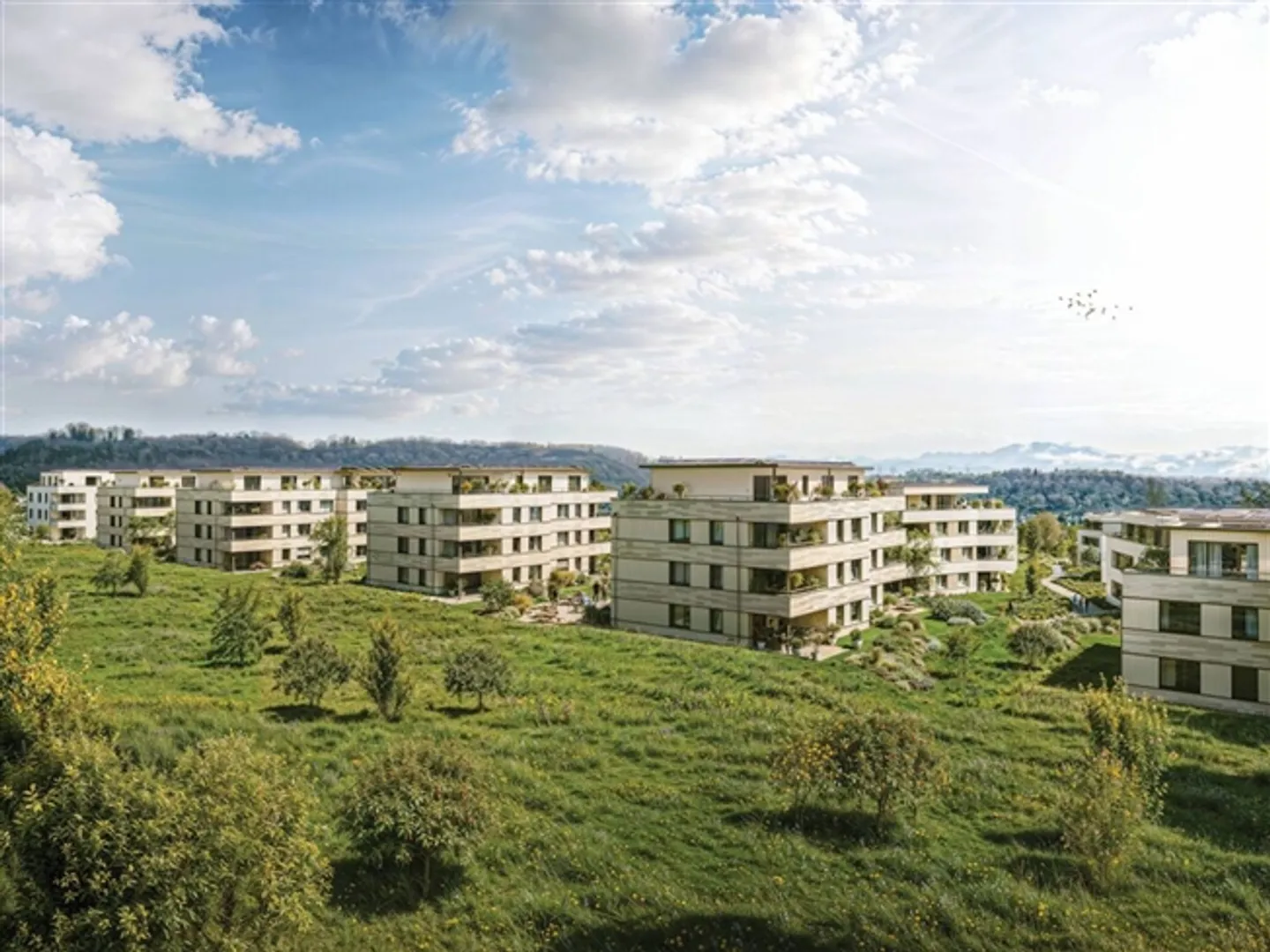 Nouveau projet de construction "Coll d'Or" - Appartement 4 1/2 pièces - Photo 3 sur 4