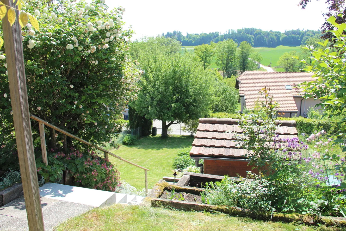 Casa a schiera luminosa con veranda e giardino - situata in una strada senza uscita - Foto 3 di 17