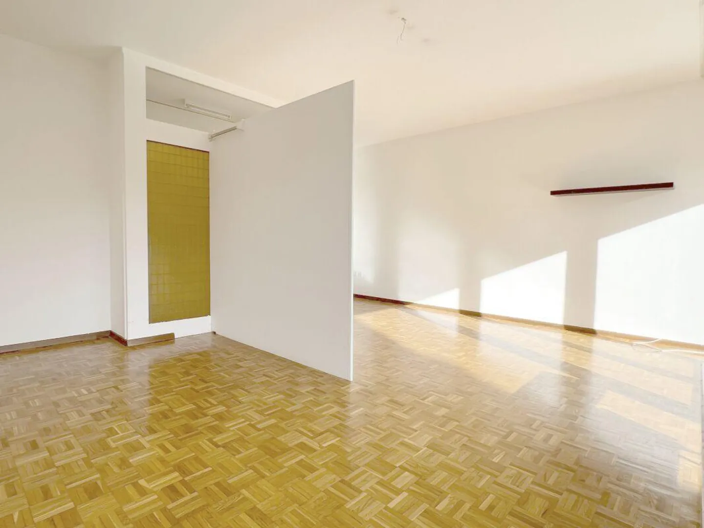 BELLINZONA | LARGE ONE-ROOM APARTMENT | BALCONY - Photo 6 of 9