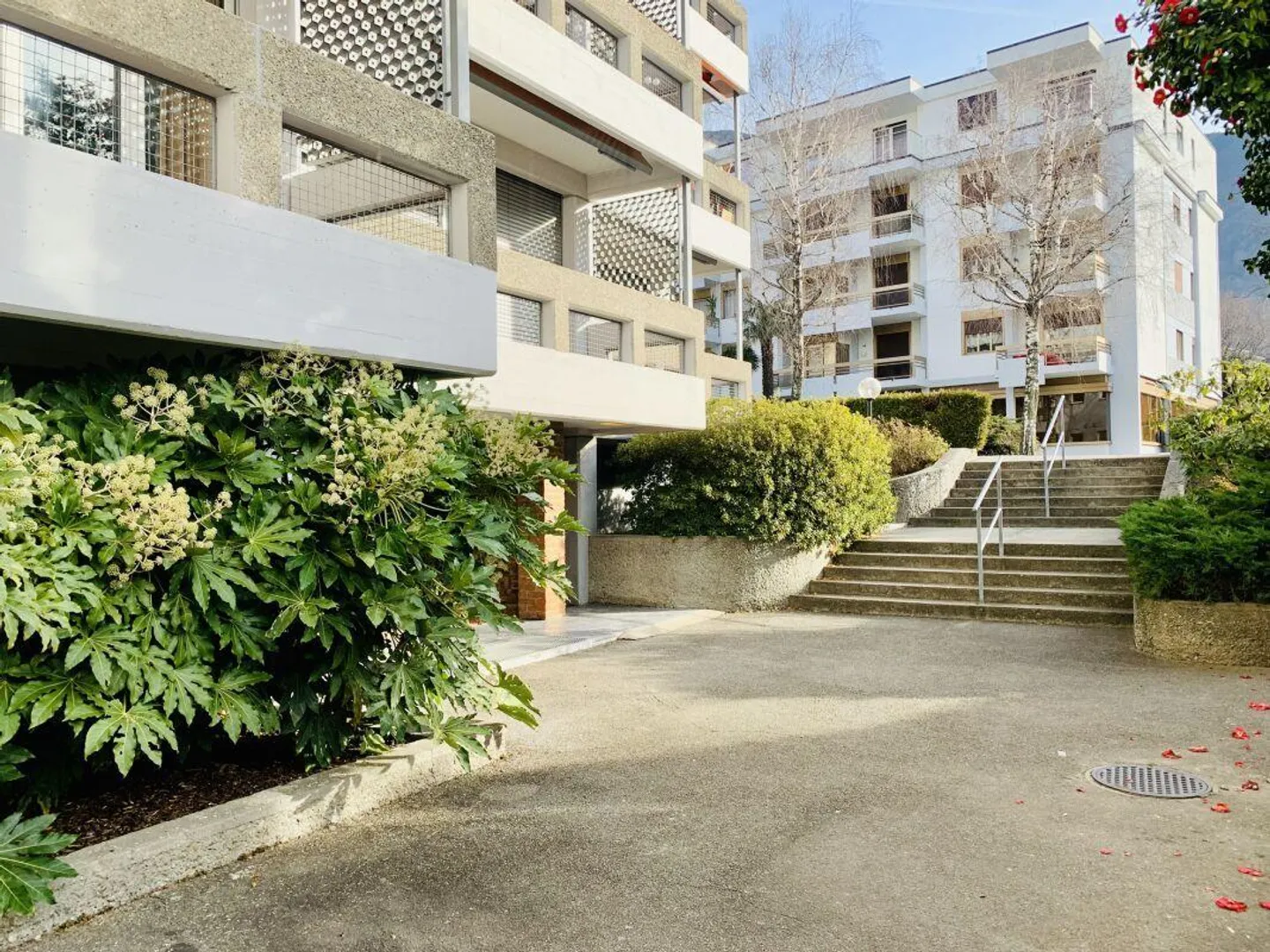 BELLINZONA | LARGE ONE-ROOM APARTMENT | BALCONY - Photo 8 of 9