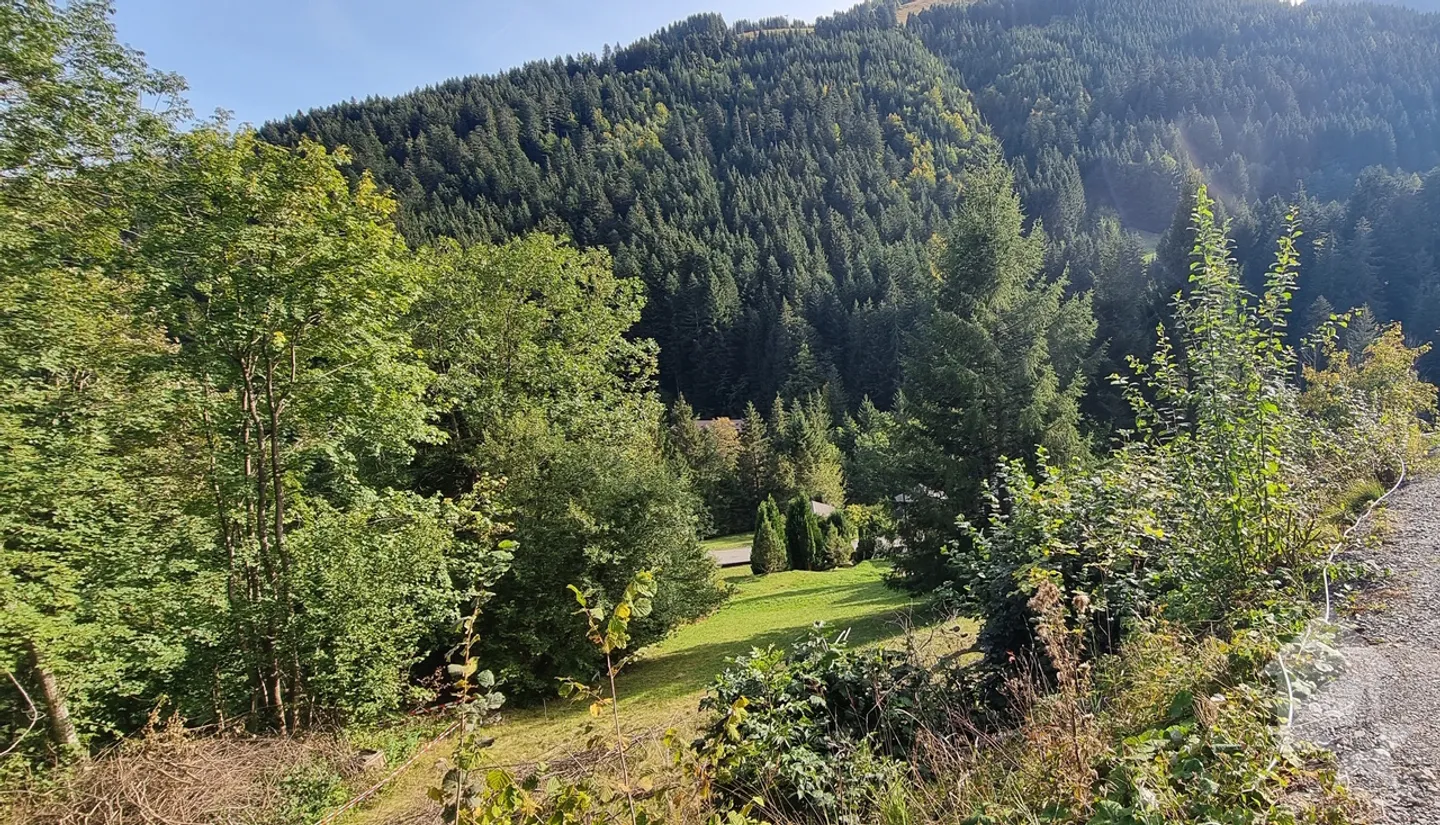 Torgon, building land with building permit in force - Photo 2 of 9