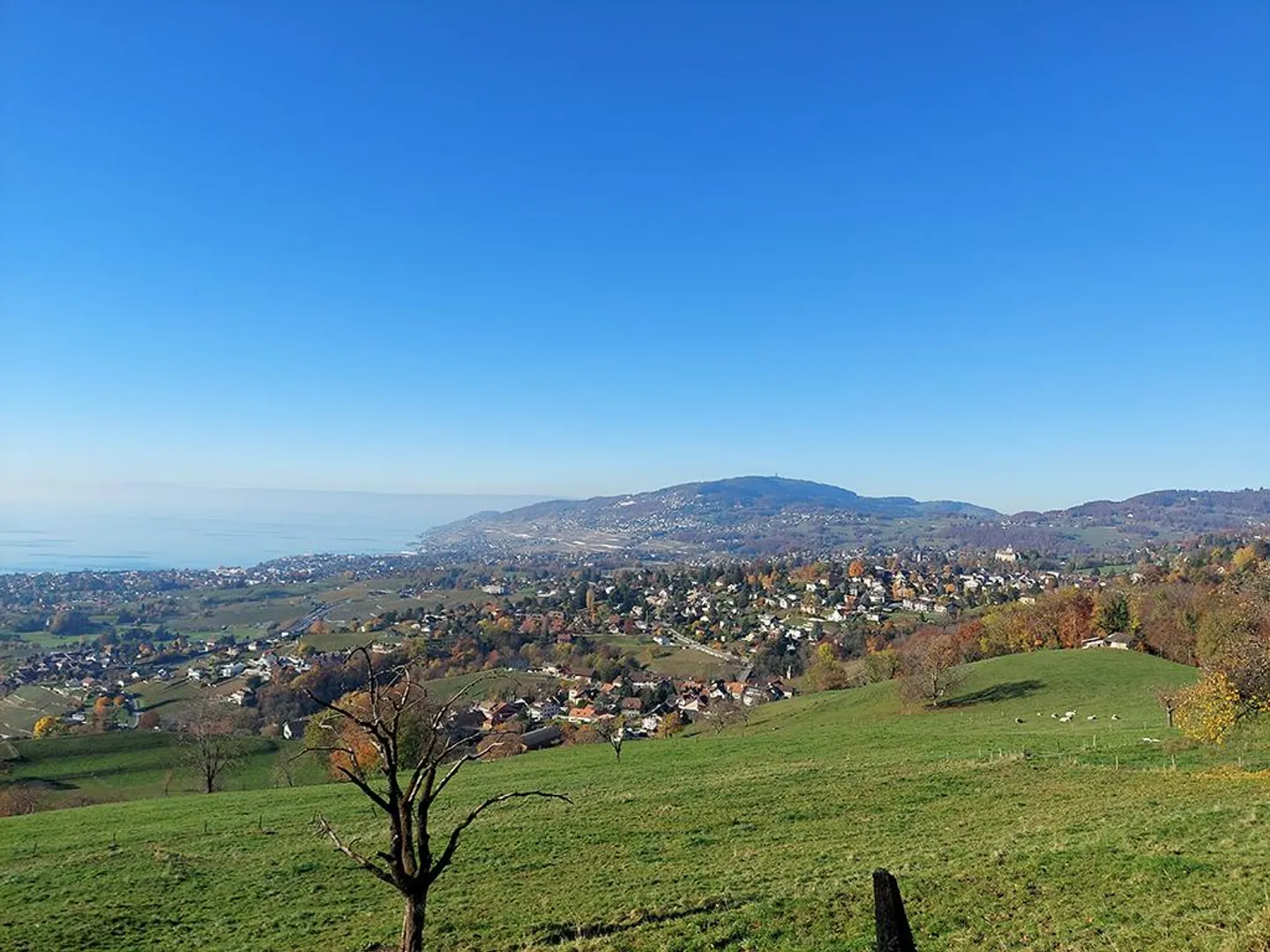 HAUTS DE BLONAY - AUSGEFALLENE UND EINZIGARTIGE VILLA - Foto 1 von 3