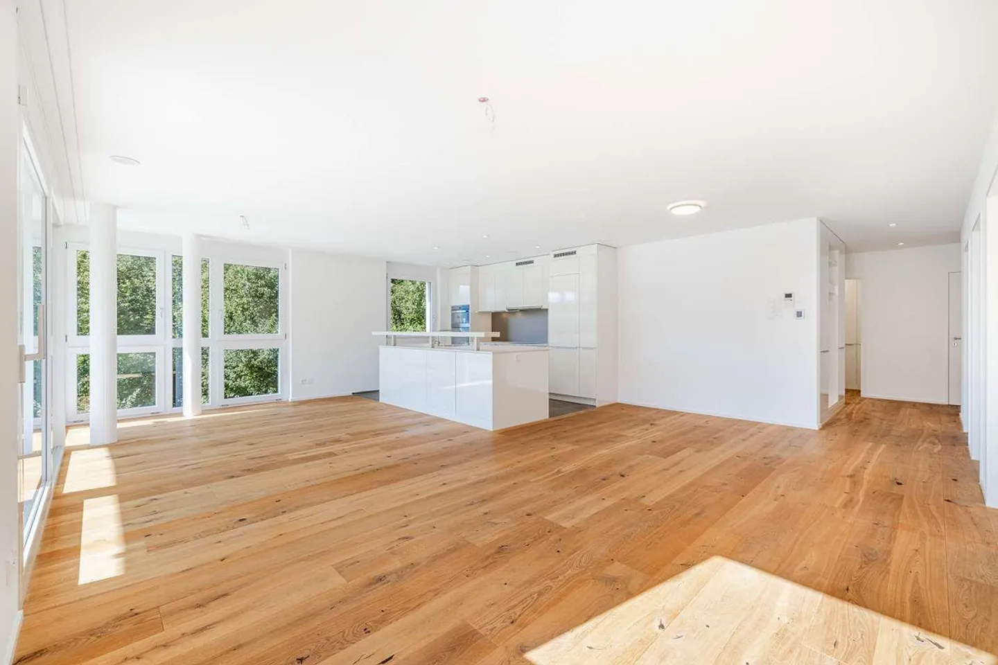 Attractive 4.5 Room Condominium with a View for Rent - Photo 2 of 15