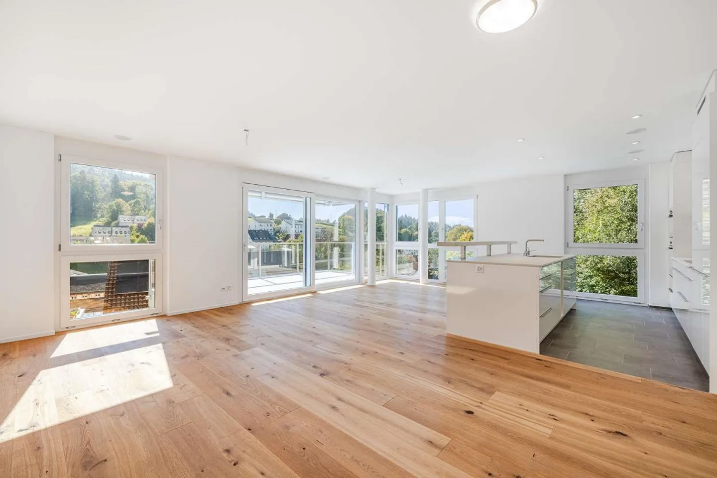 Attractive 4.5 Room Condominium with a View for Rent - Photo 3 of 15