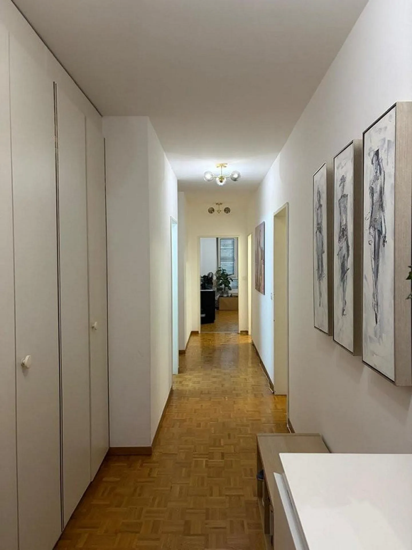 Beautiful apartment with terrace and balcony in the heart of Petit-Lancy - Photo 2 of 9