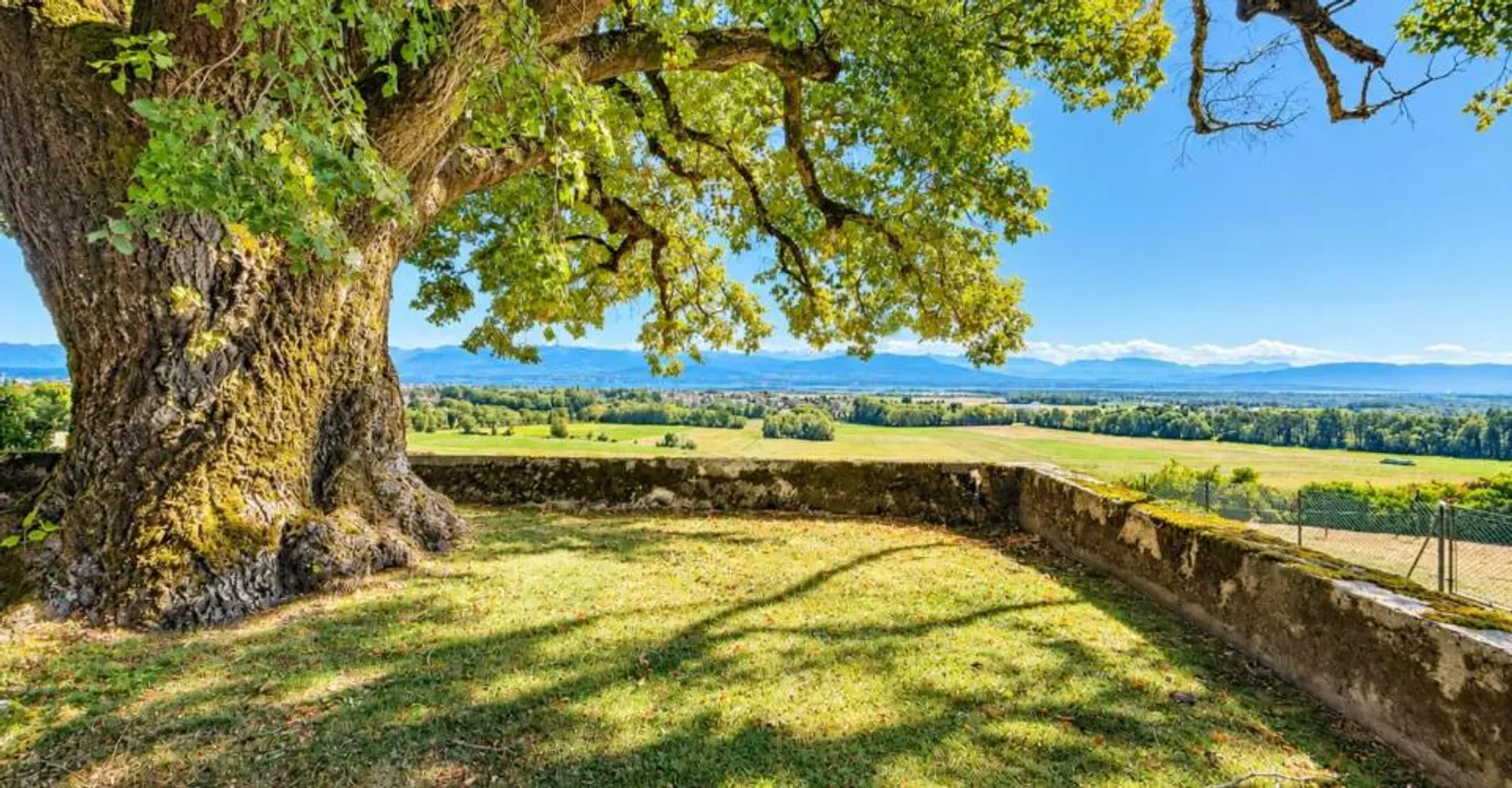 Una vita da castello nel cuore della natura con vista sul lago - Foto 1 di 10