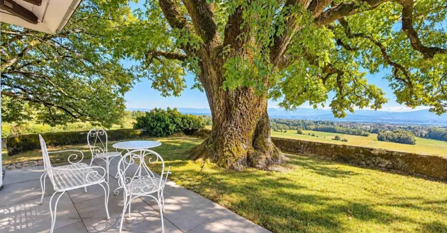 Una vita da castello nel cuore della natura con vista sul lago - Foto 7 di 10