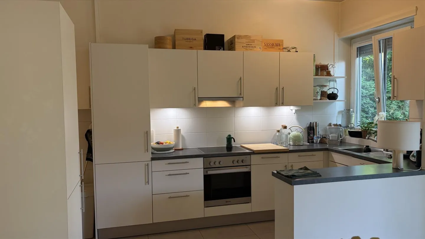 Wunderschöne 4,5 Zimmer mit Terrasse und privatem Garten, Stadtteil Champel - Foto 5 von 11