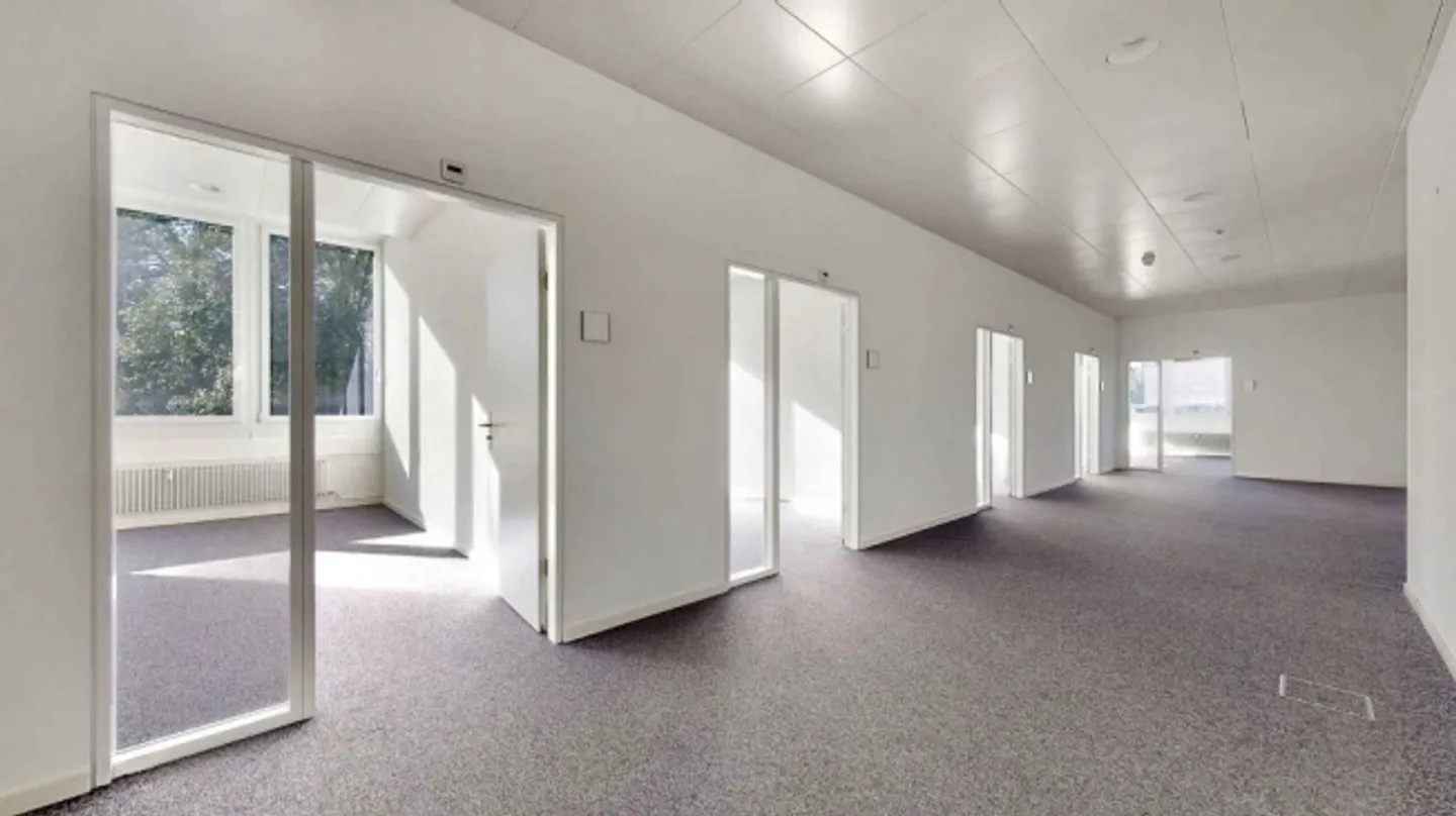 Bureaux/commerciaux spacieux et lumineux à Reinach - Photo 9 sur 9