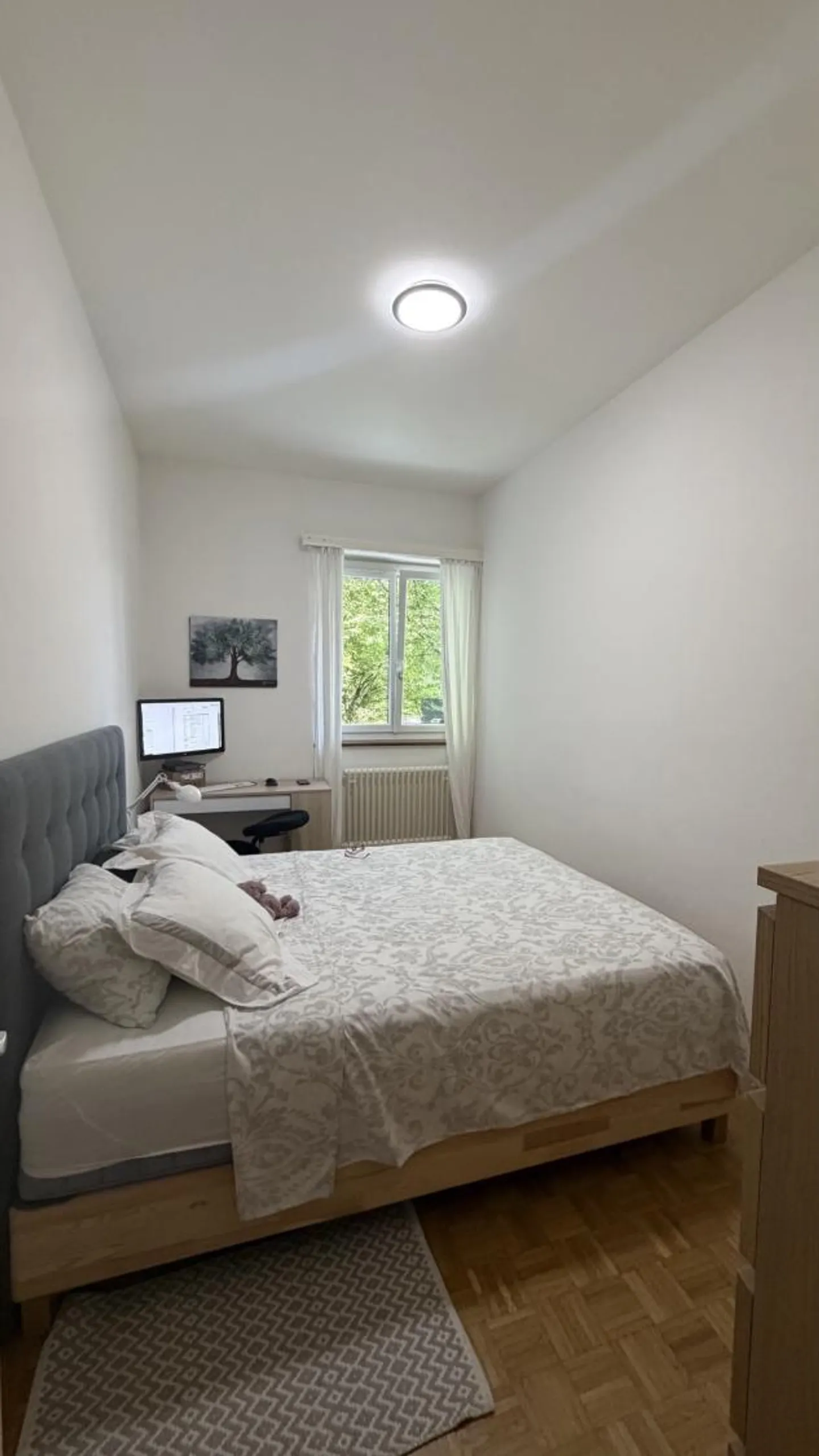 Wunderschöne 4,5 Zimmer mit Terrasse und privatem Garten, Stadtteil Champel - Foto 7 von 11