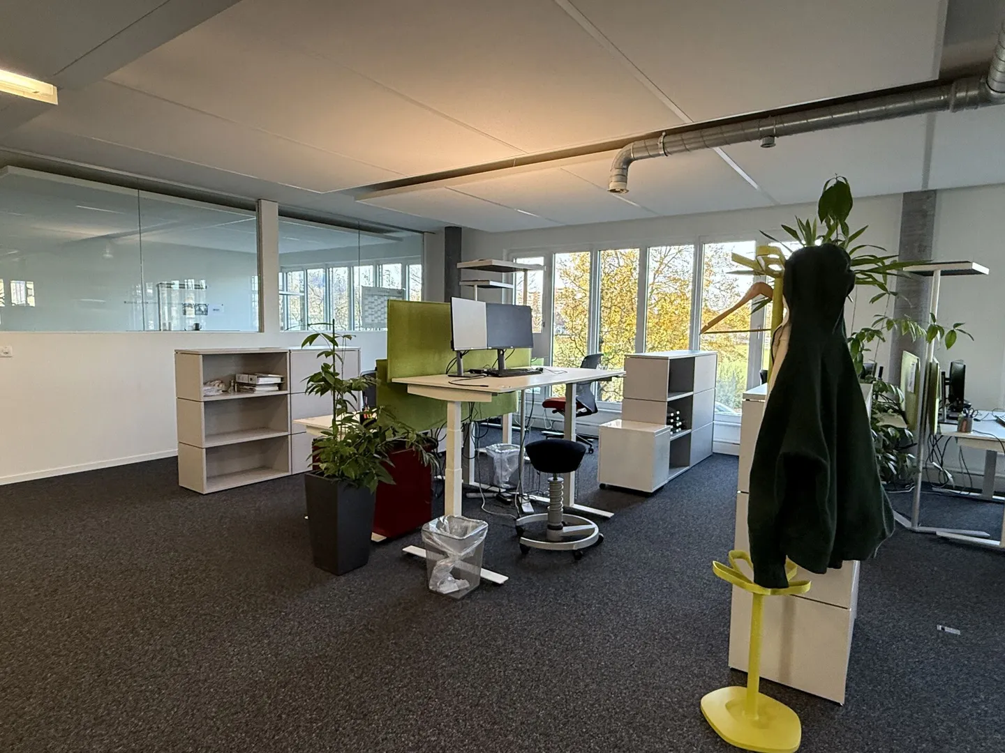 Representative as-new office spaces - Photo 9 of 12