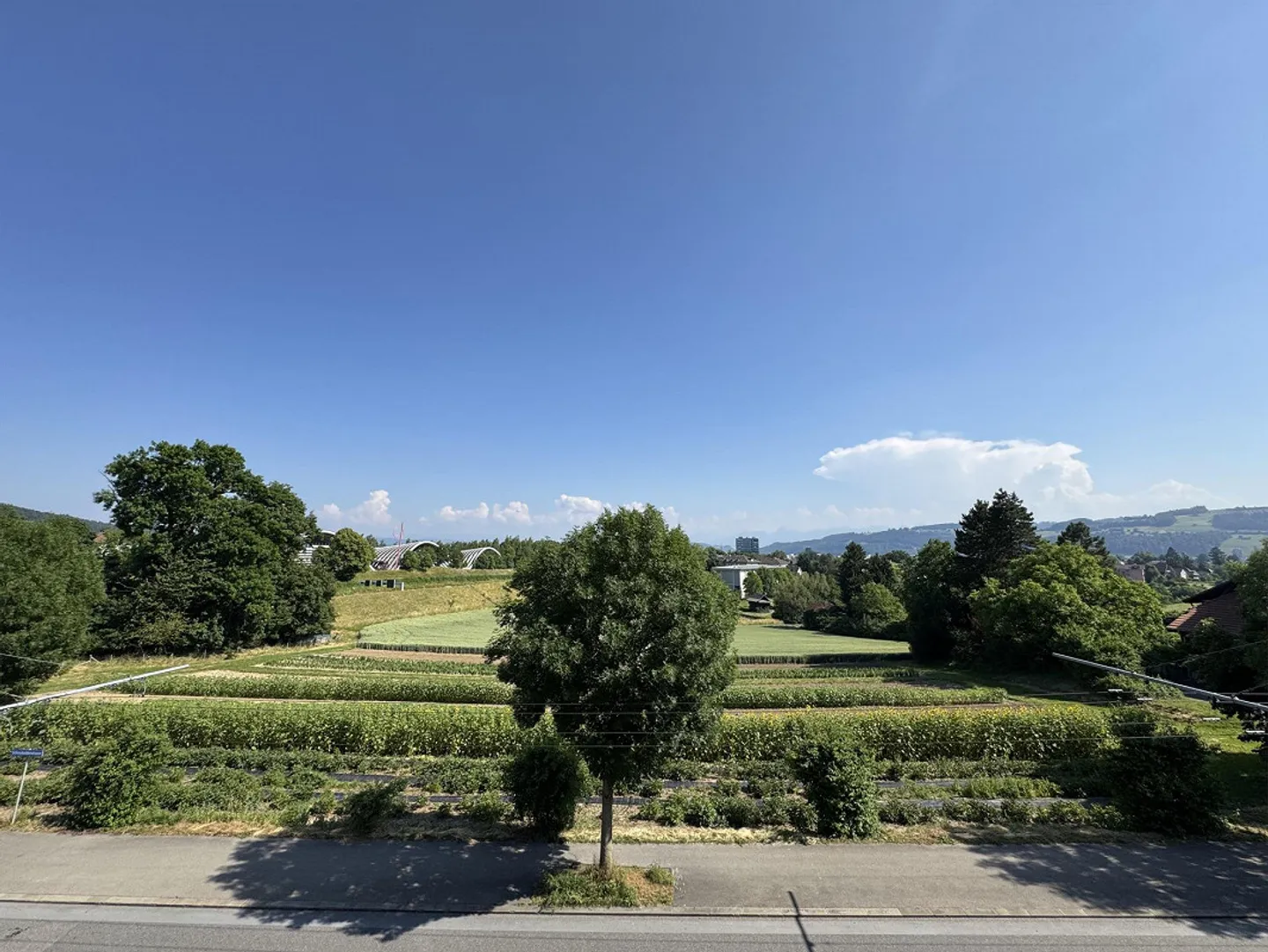 4.5 Room Apartment in Bern - Photo 6 of 13