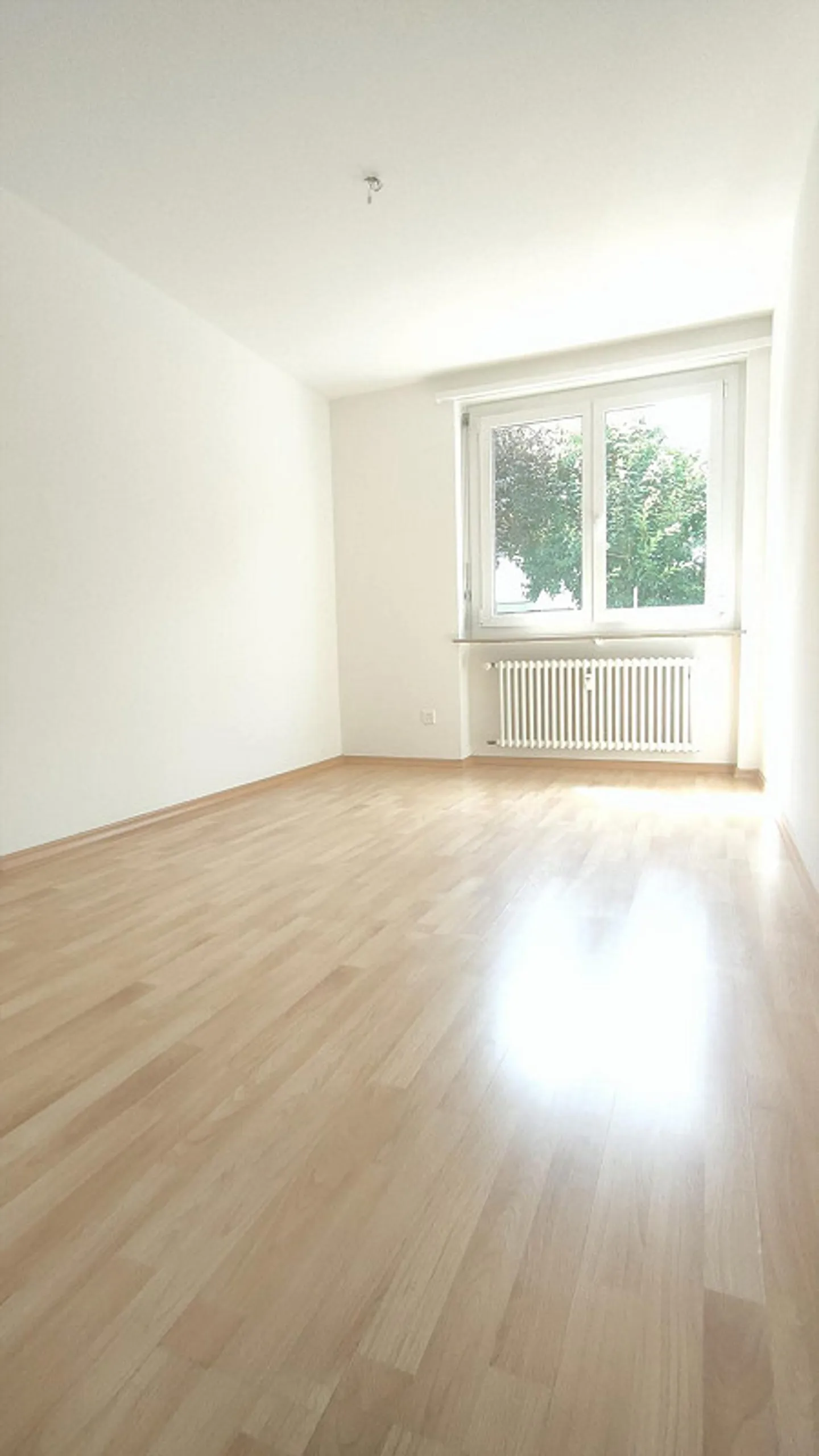 Charmante Wohnung in Historischer Lage - Foto 4 von 7