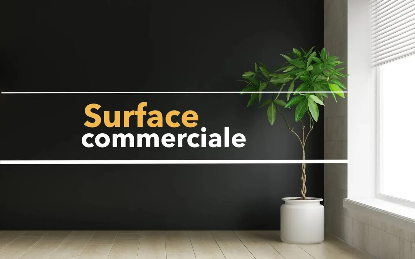 Île Falcon | Surface commerciale spacieuse avec vitrine - Photo 1 sur 3