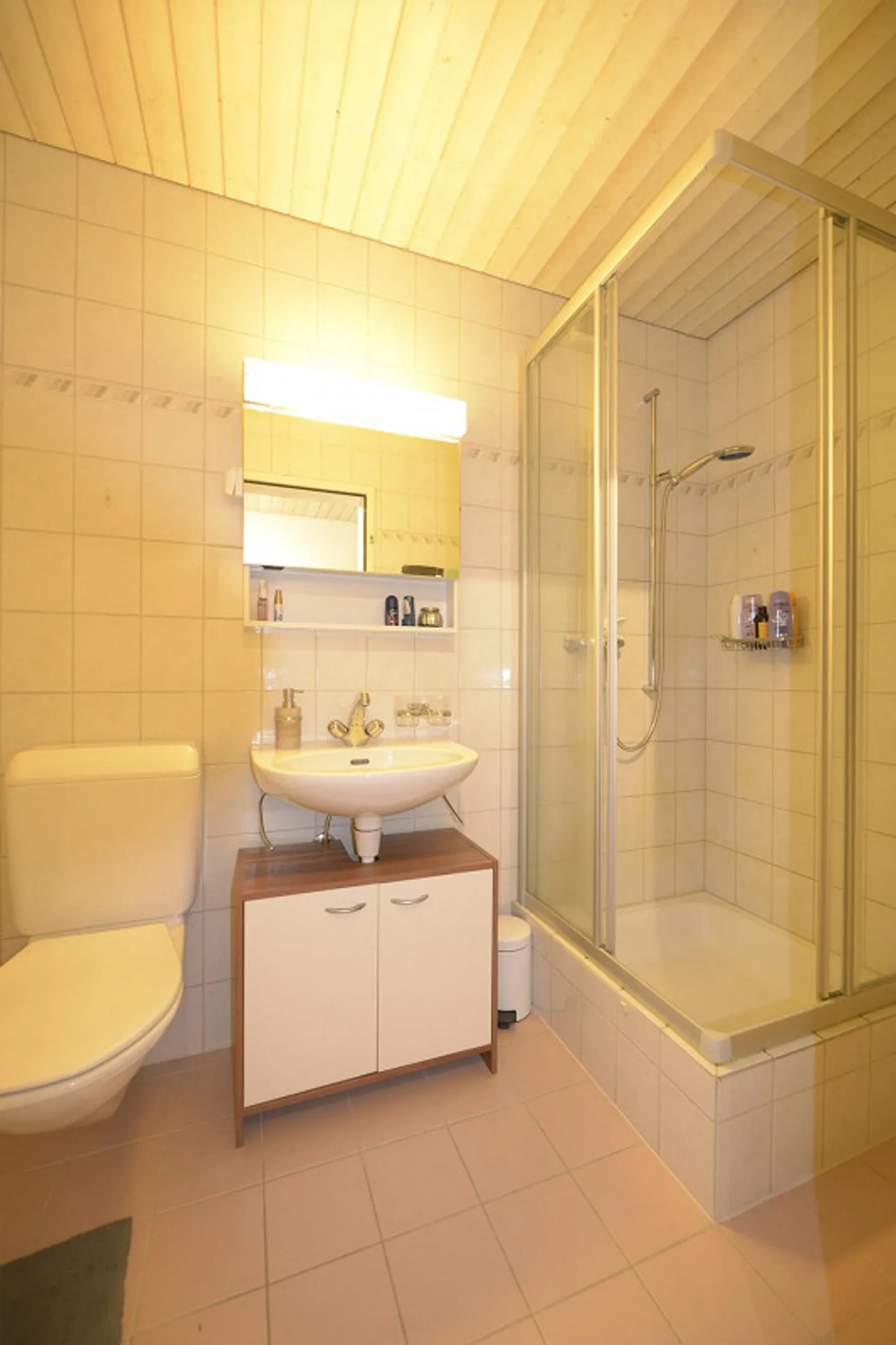 Città di San Gallo - Centro Ovest - Foto 12 di 17